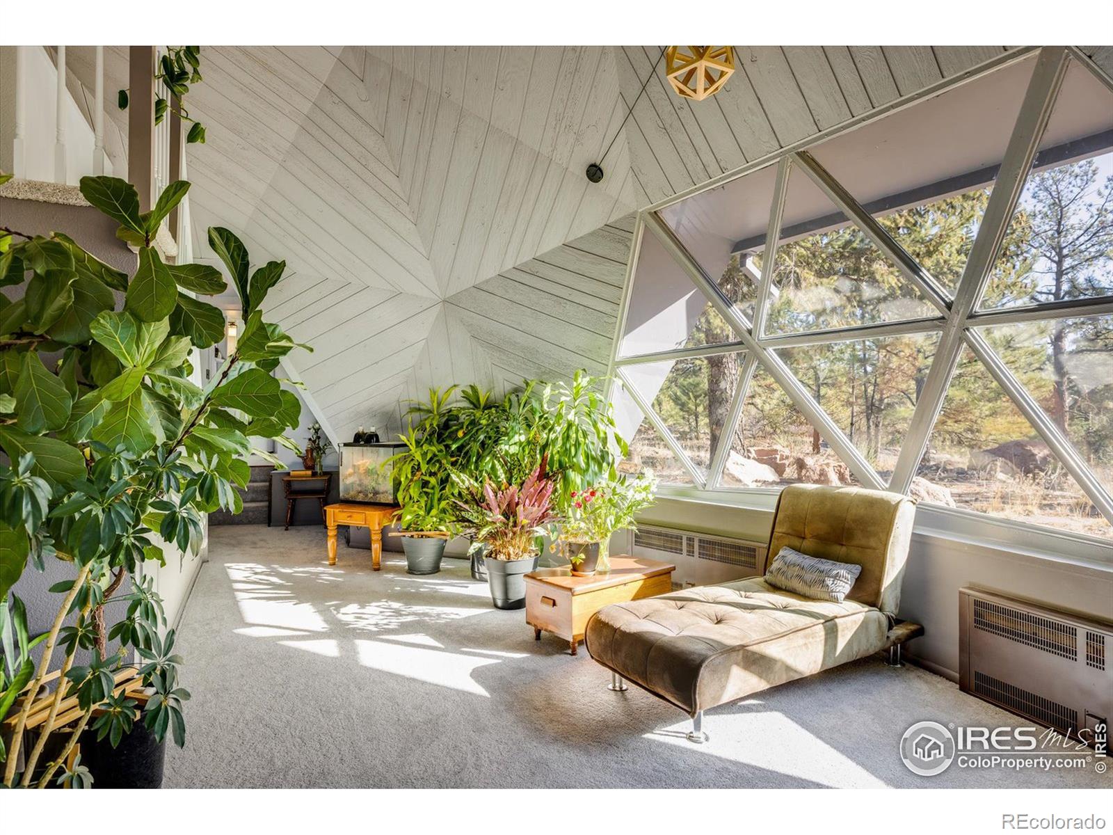 MLS Image #6 for 15335 s swiss road,pine, Colorado