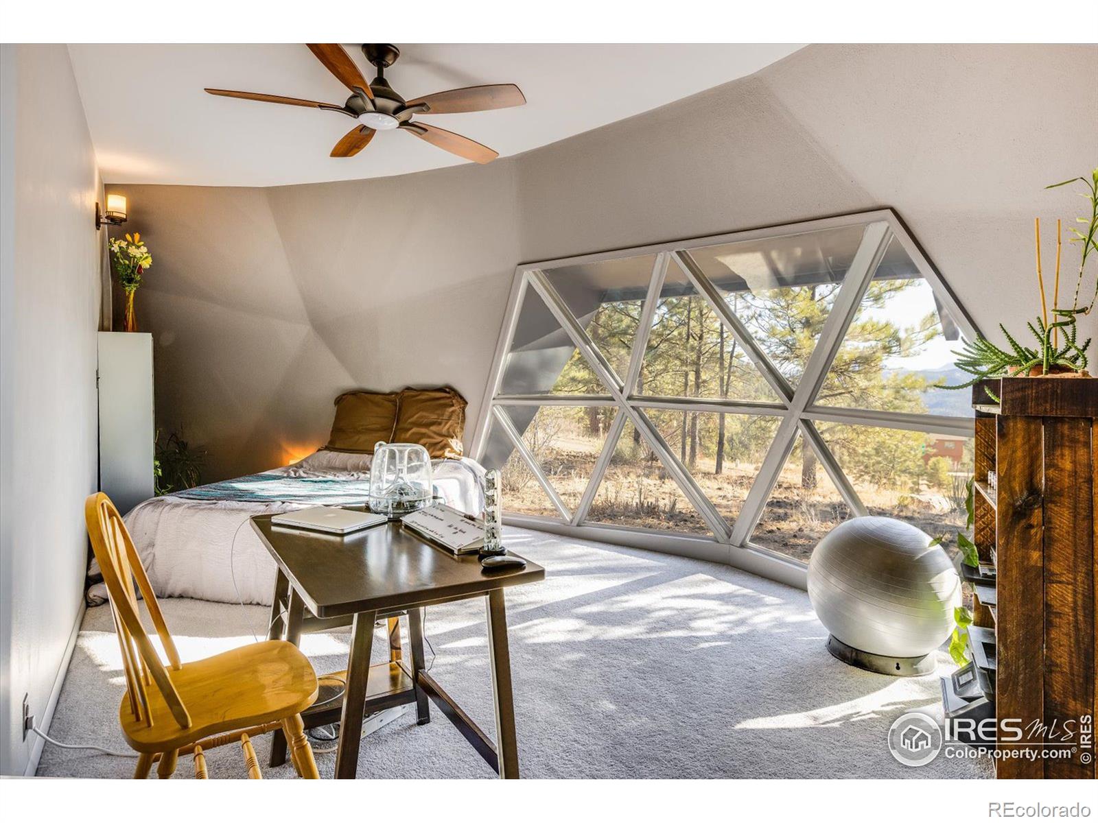 MLS Image #8 for 15335 s swiss road,pine, Colorado