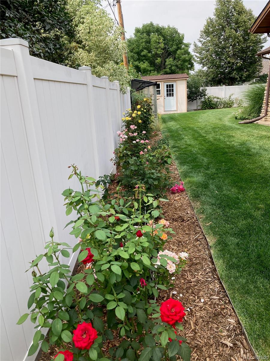 MLS Image #4 for 457  allison street,lakewood, Colorado