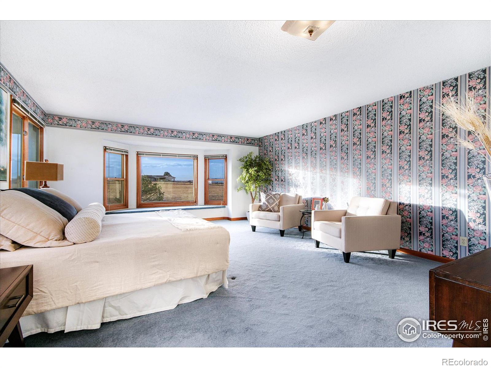 MLS Image #21 for 13901  franklin street,brighton, Colorado
