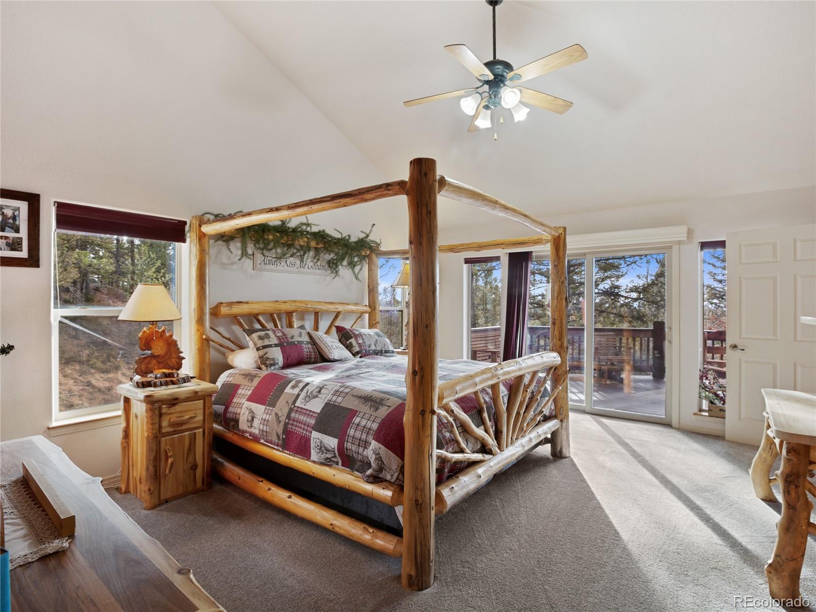 MLS Image #18 for 516  saguache drive,florissant, Colorado