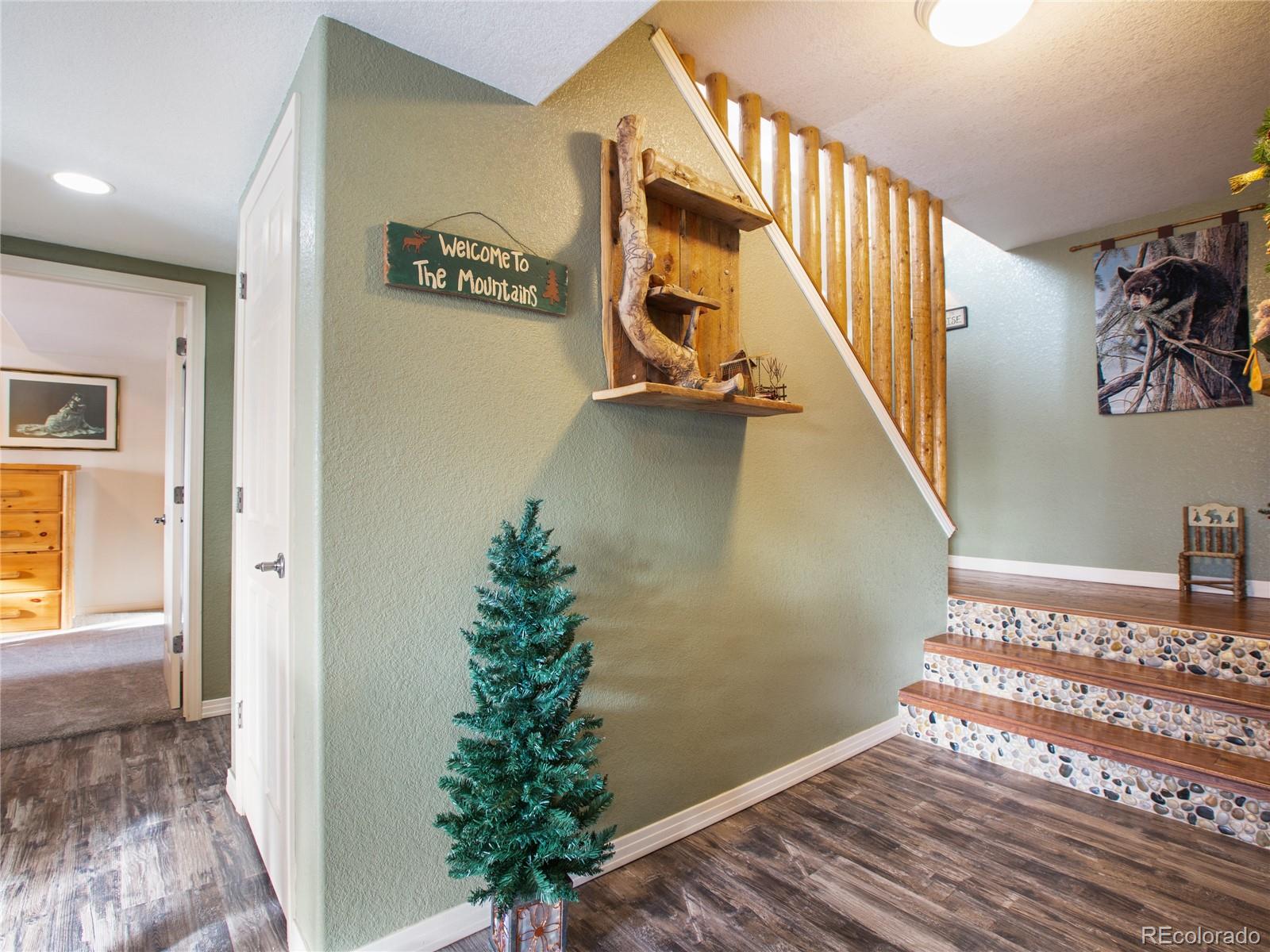 MLS Image #21 for 516  saguache drive,florissant, Colorado