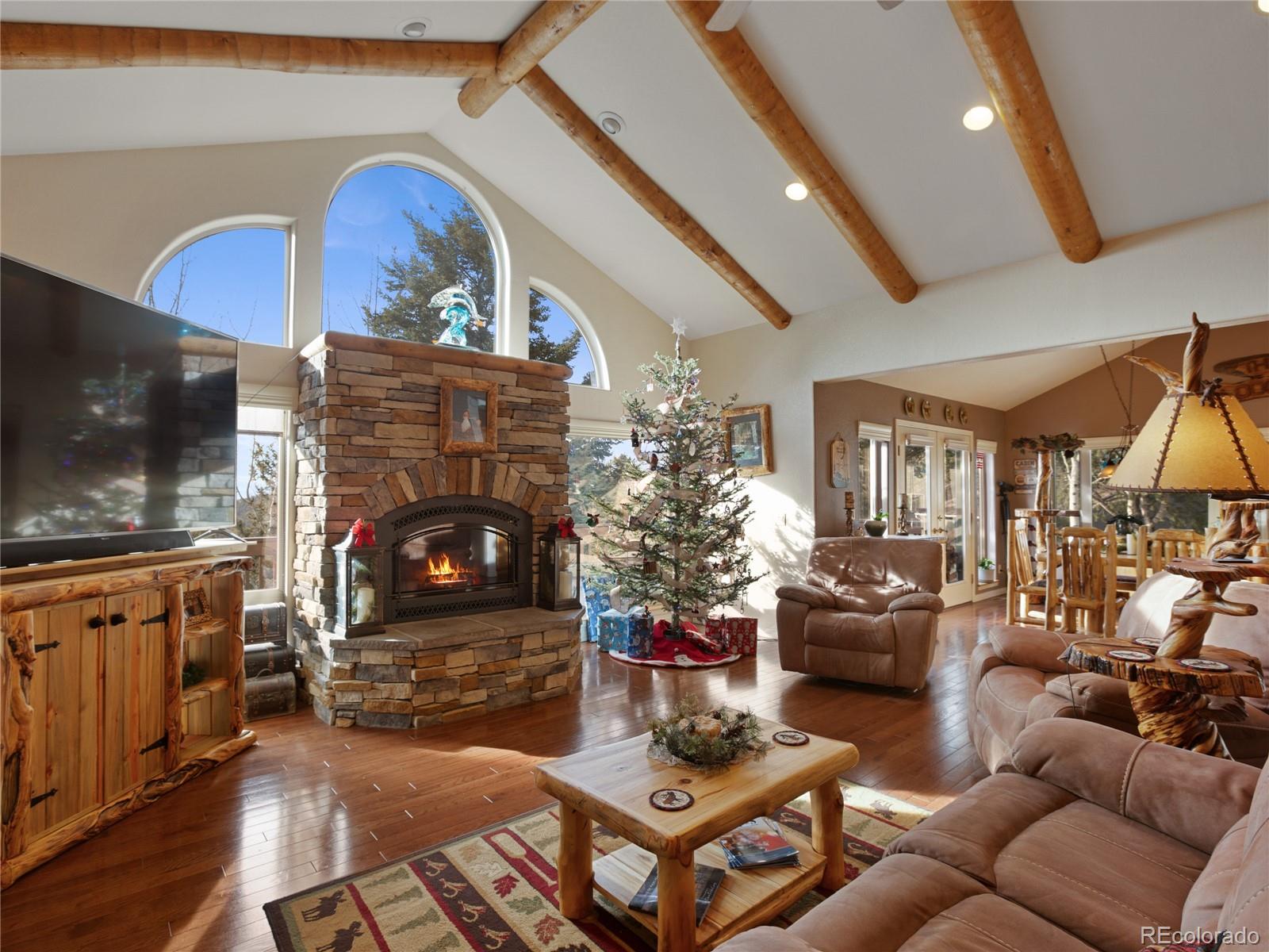 MLS Image #3 for 516  saguache drive,florissant, Colorado