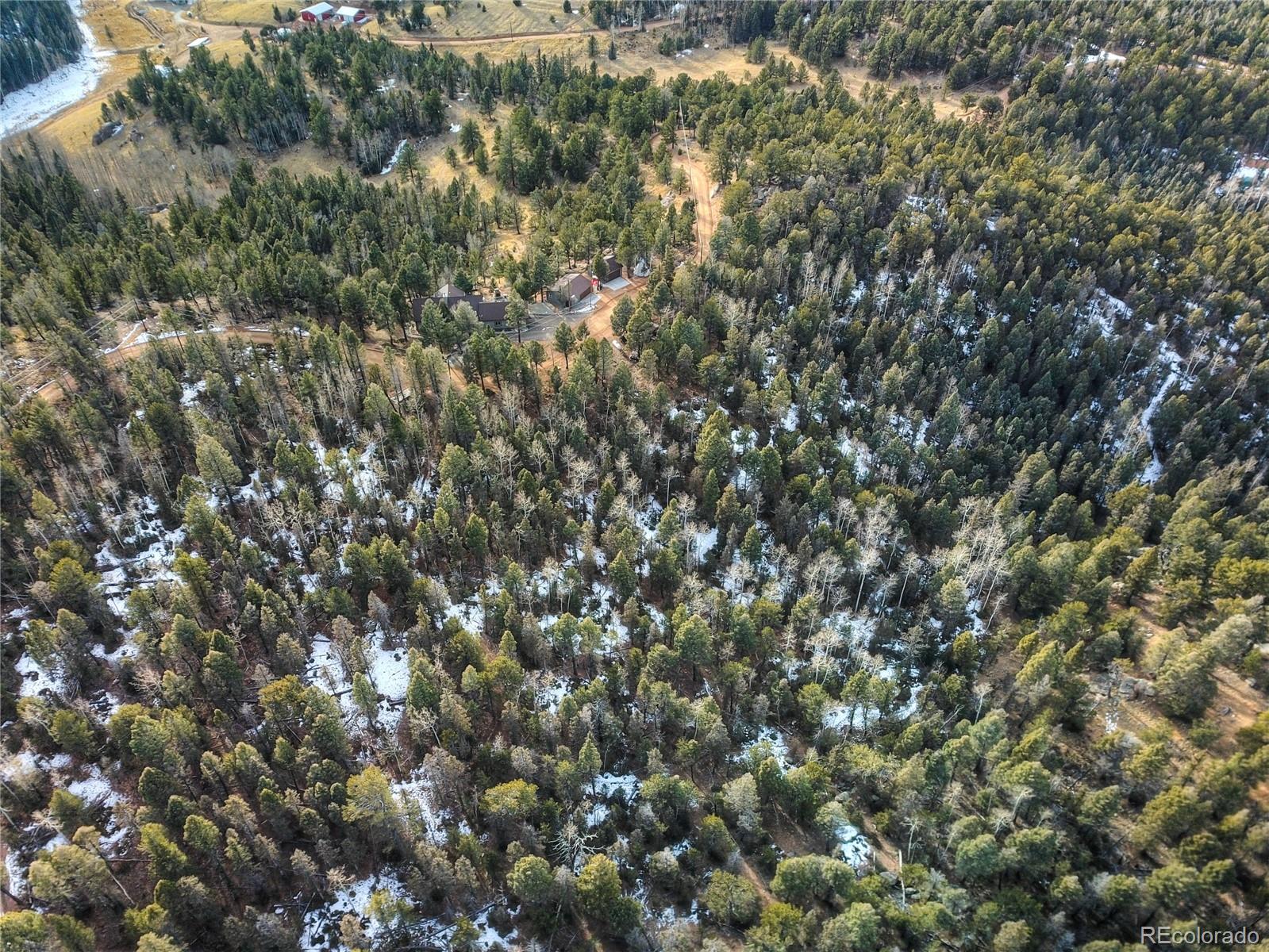 MLS Image #37 for 516  saguache drive,florissant, Colorado