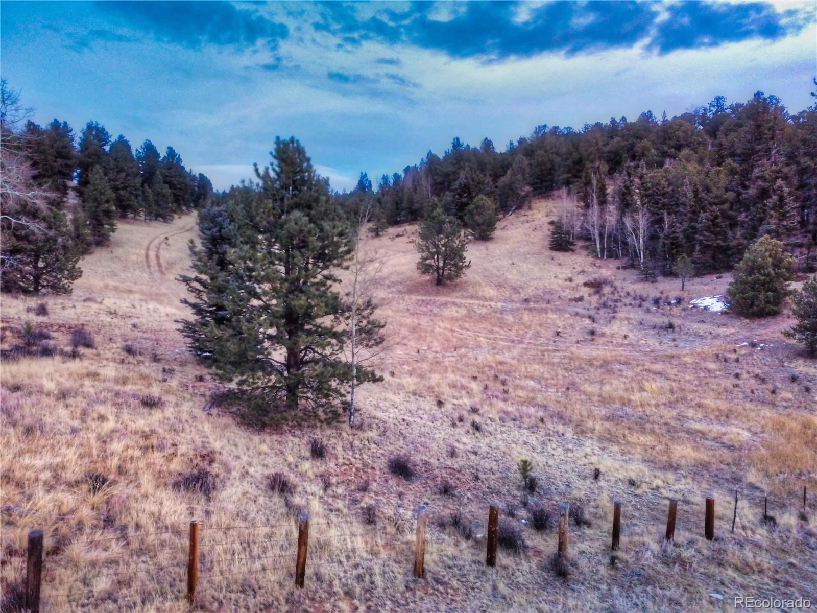 MLS Image #38 for 516  saguache drive,florissant, Colorado