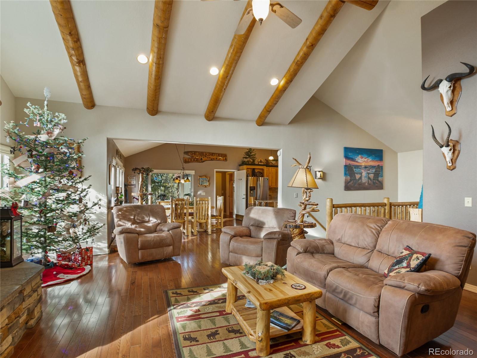 MLS Image #6 for 516  saguache drive,florissant, Colorado