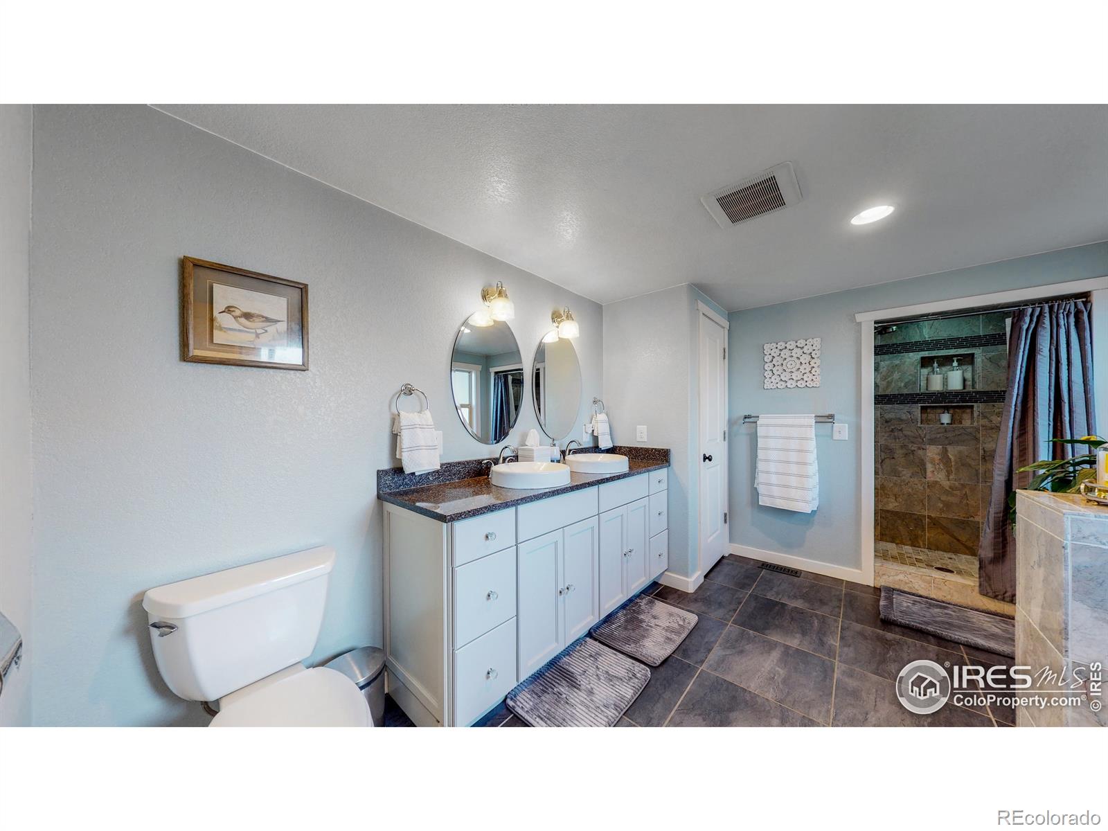 MLS Image #16 for 5210 s olive road,evergreen, Colorado