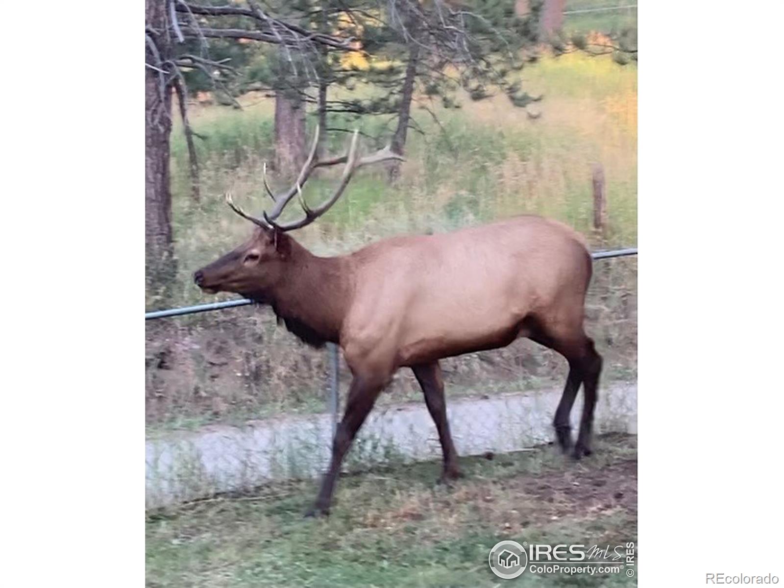 MLS Image #35 for 5210 s olive road,evergreen, Colorado