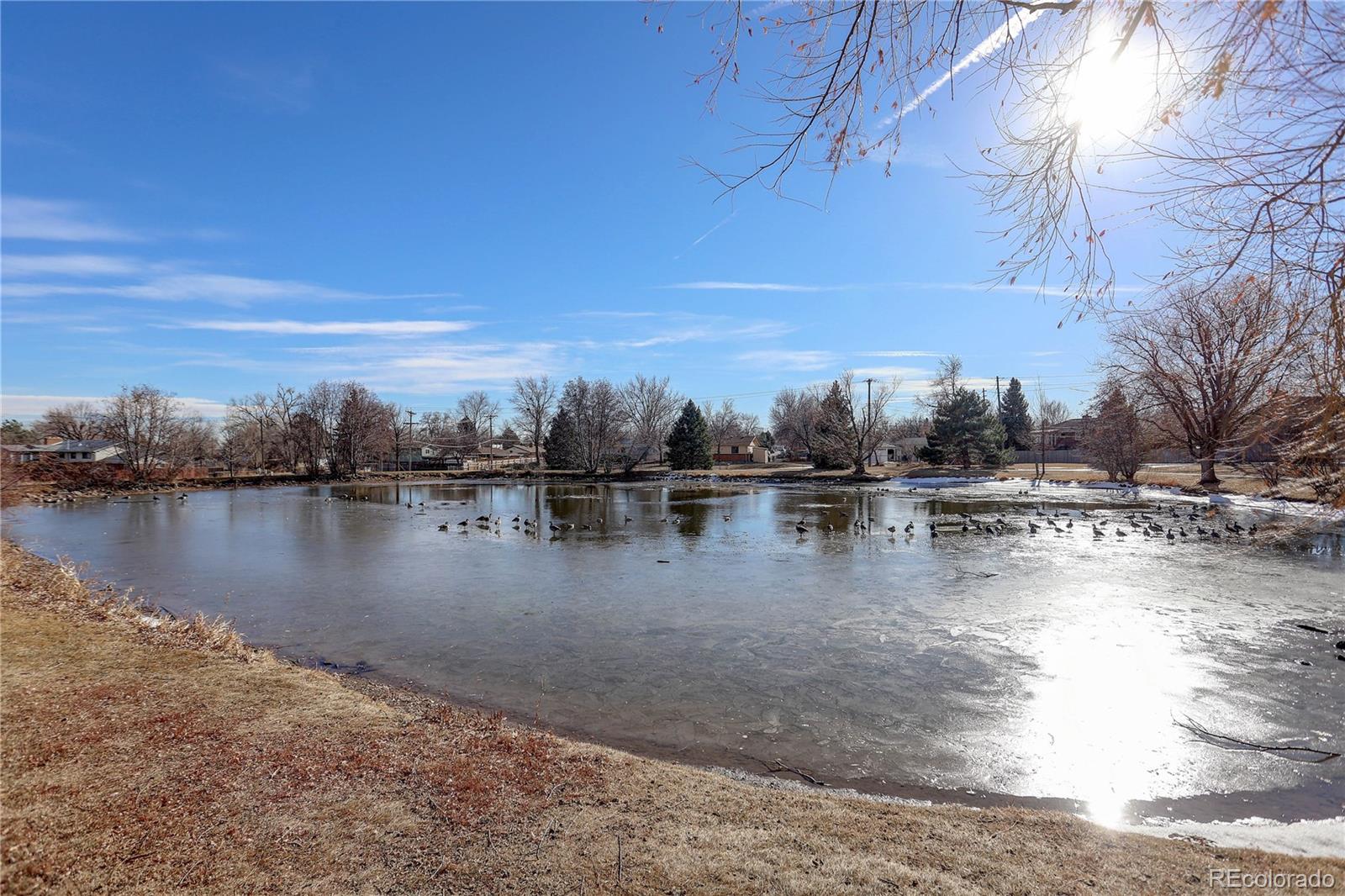 MLS Image #37 for 9119 w maryland place,lakewood, Colorado