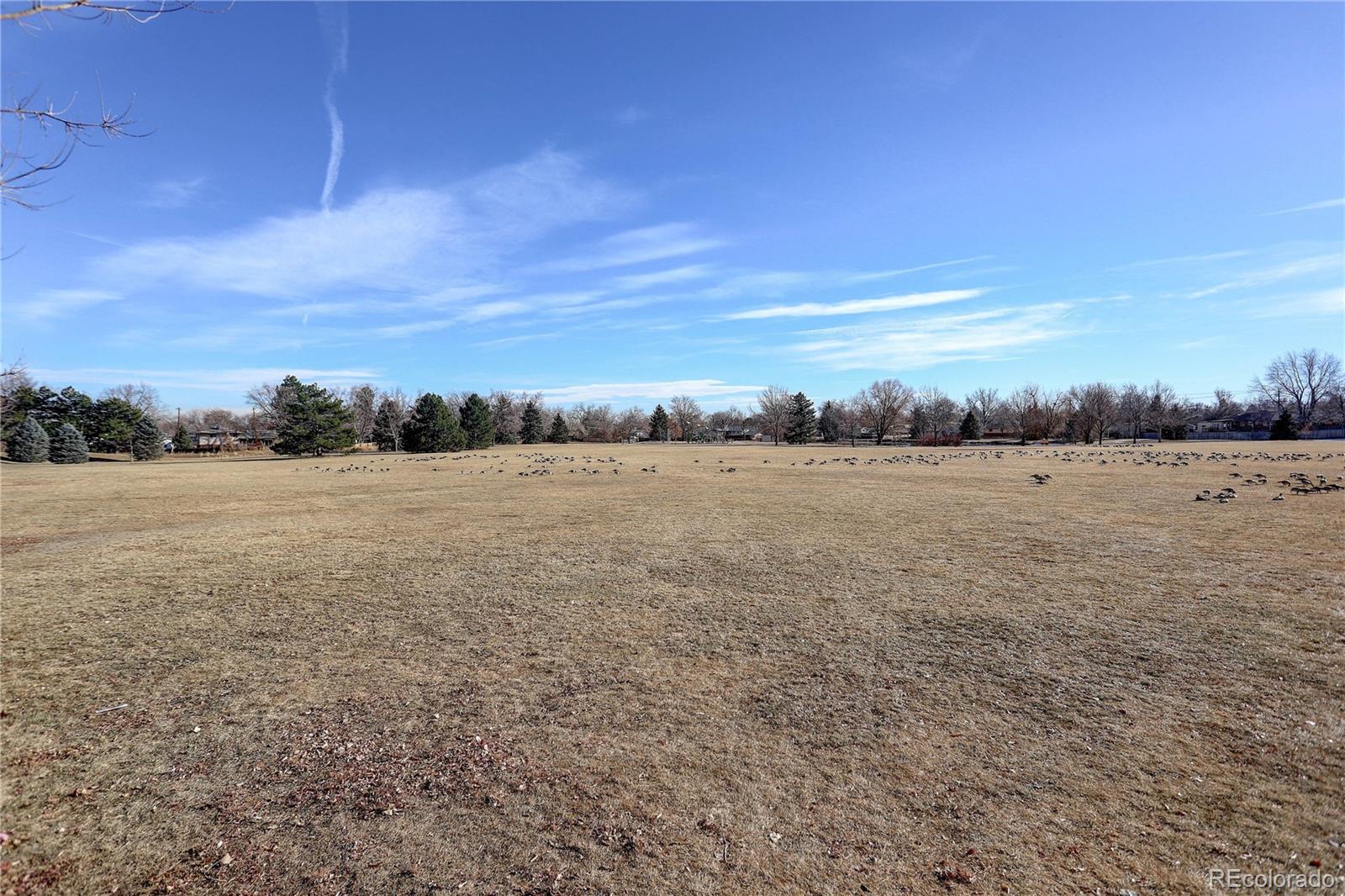 MLS Image #38 for 9119 w maryland place,lakewood, Colorado