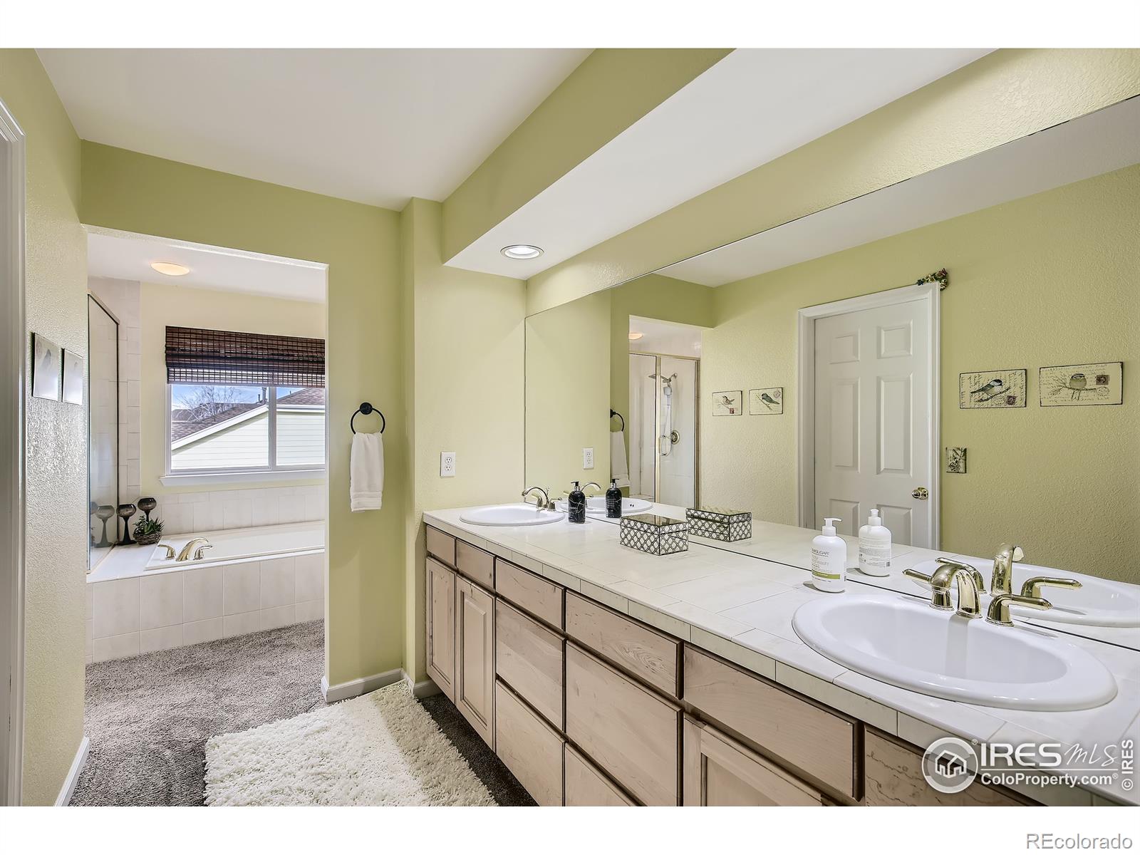 MLS Image #18 for 1163  northview drive,erie, Colorado