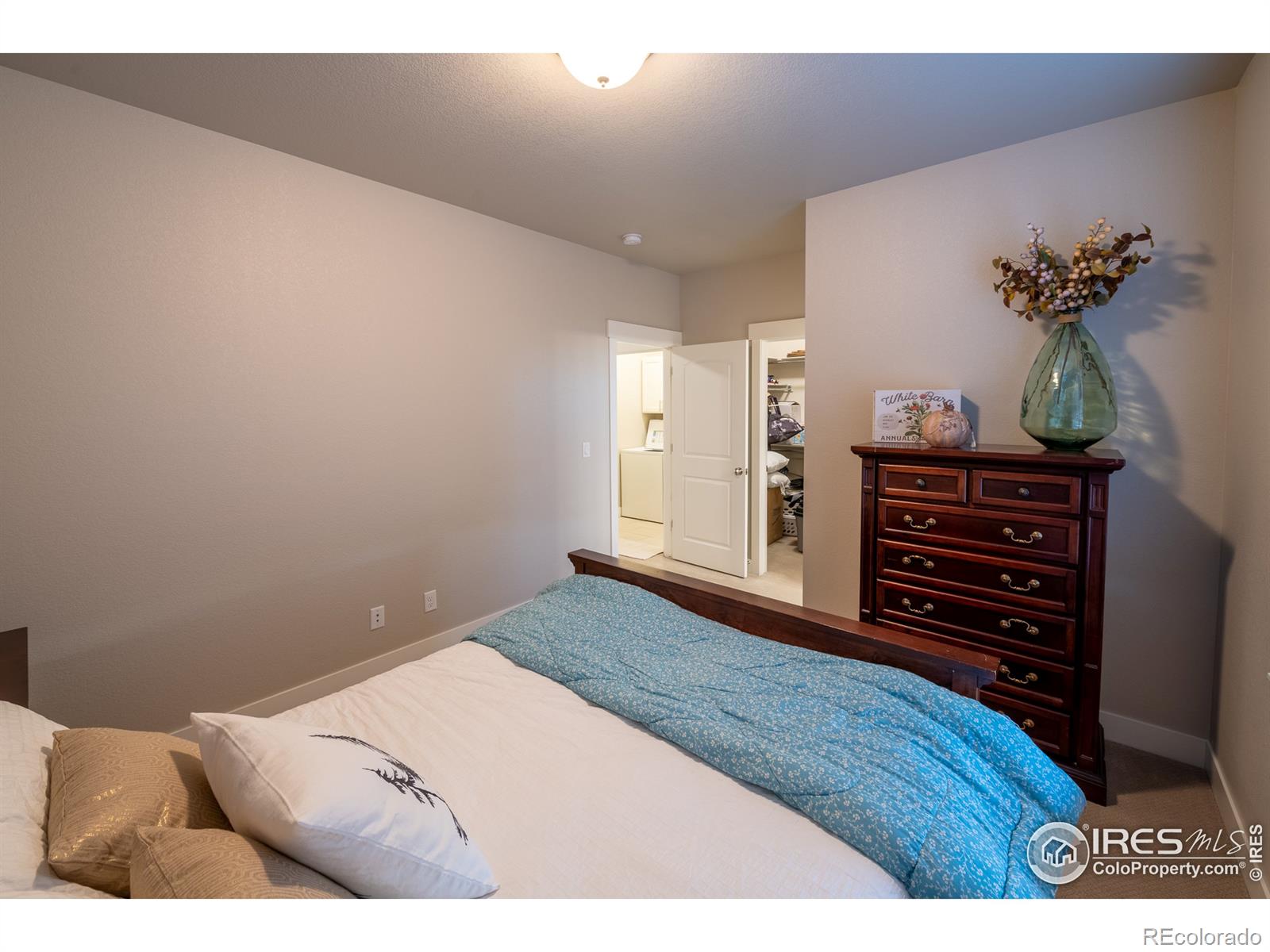 MLS Image #18 for 6398  pumpkin ridge drive,windsor, Colorado