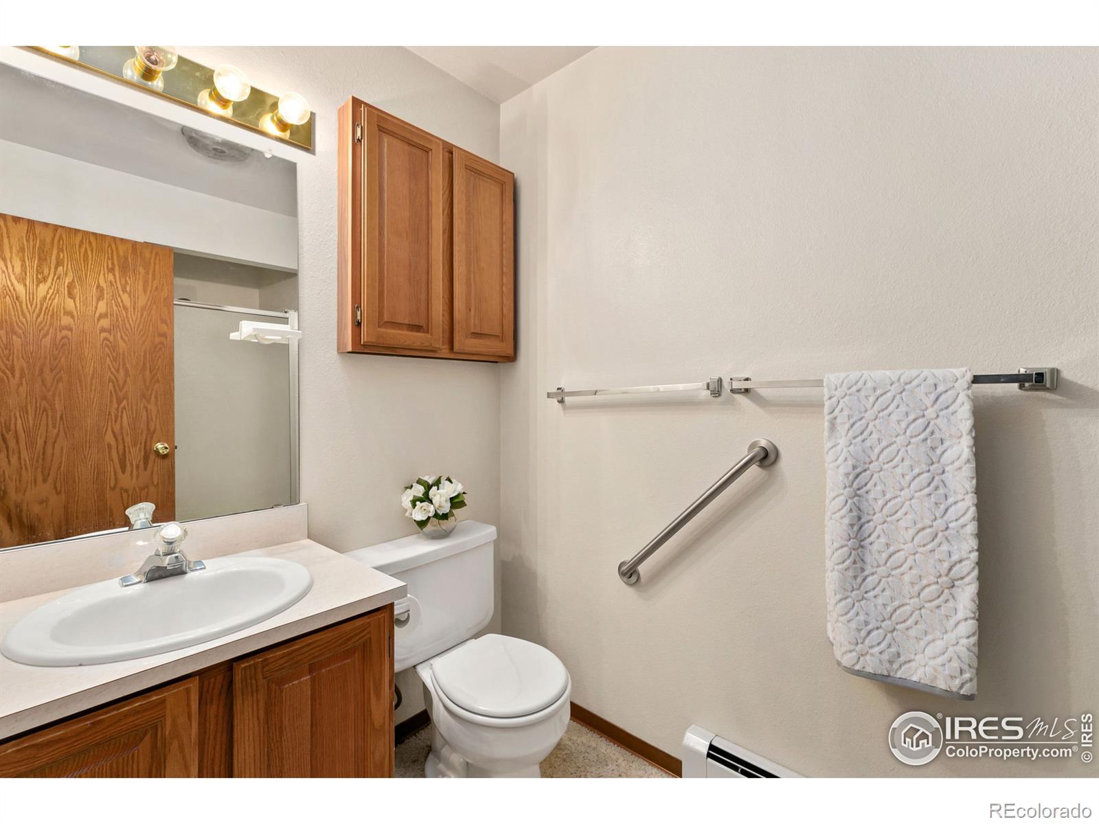 MLS Image #18 for 4560  larkbunting drive,fort collins, Colorado