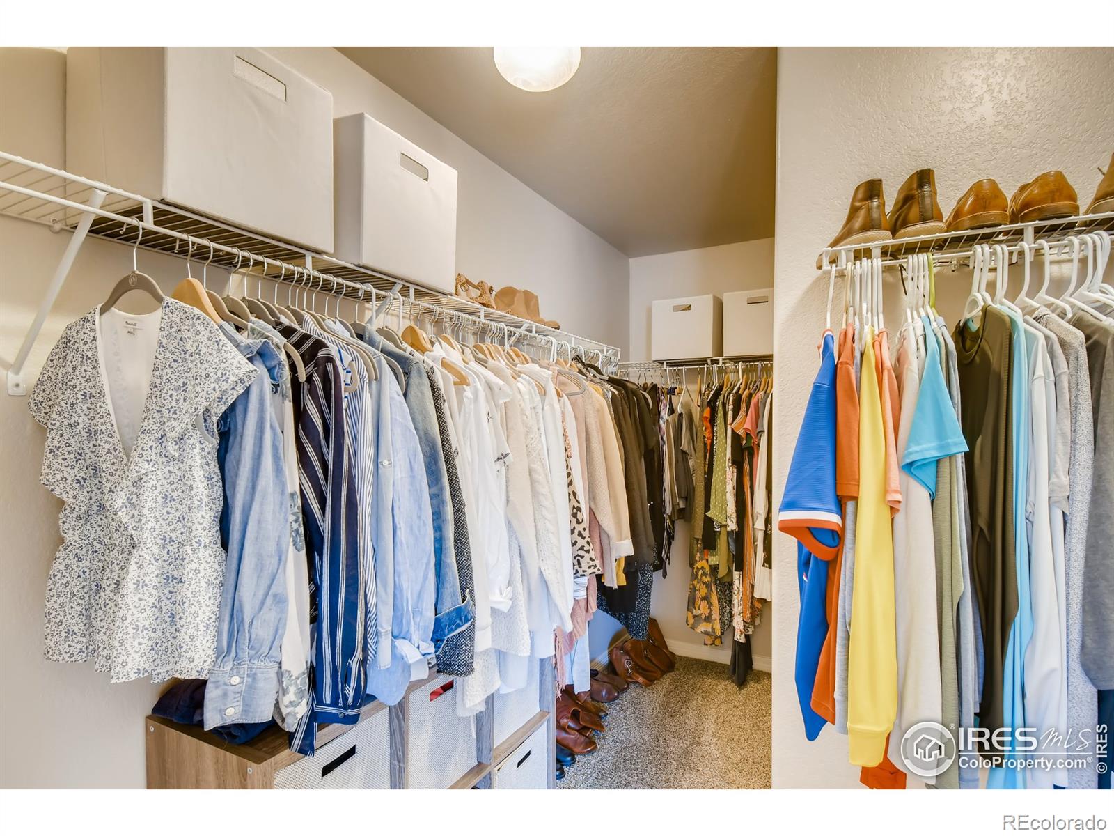 MLS Image #13 for 1023  antila avenue,loveland, Colorado