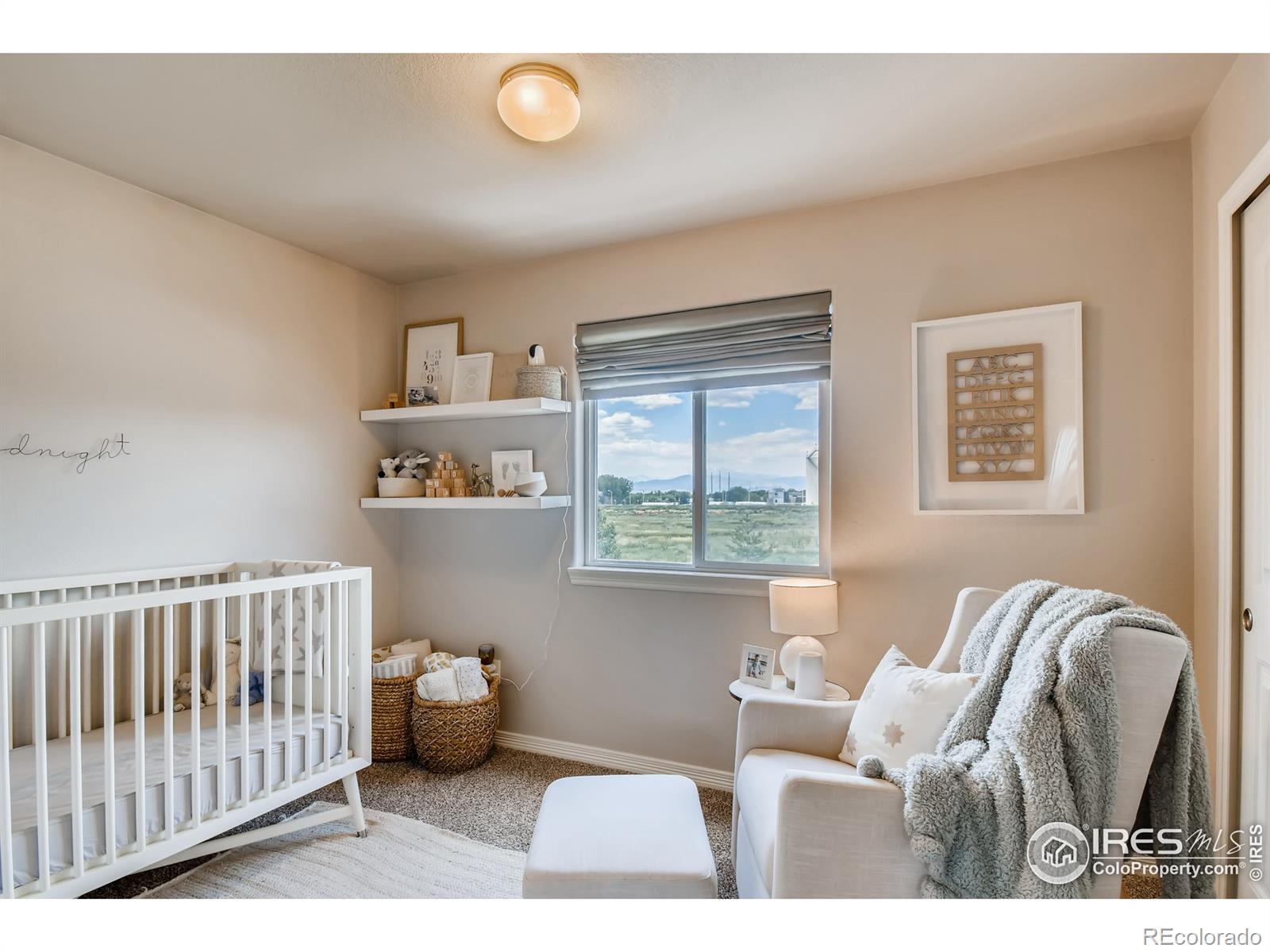 MLS Image #17 for 1023  antila avenue,loveland, Colorado