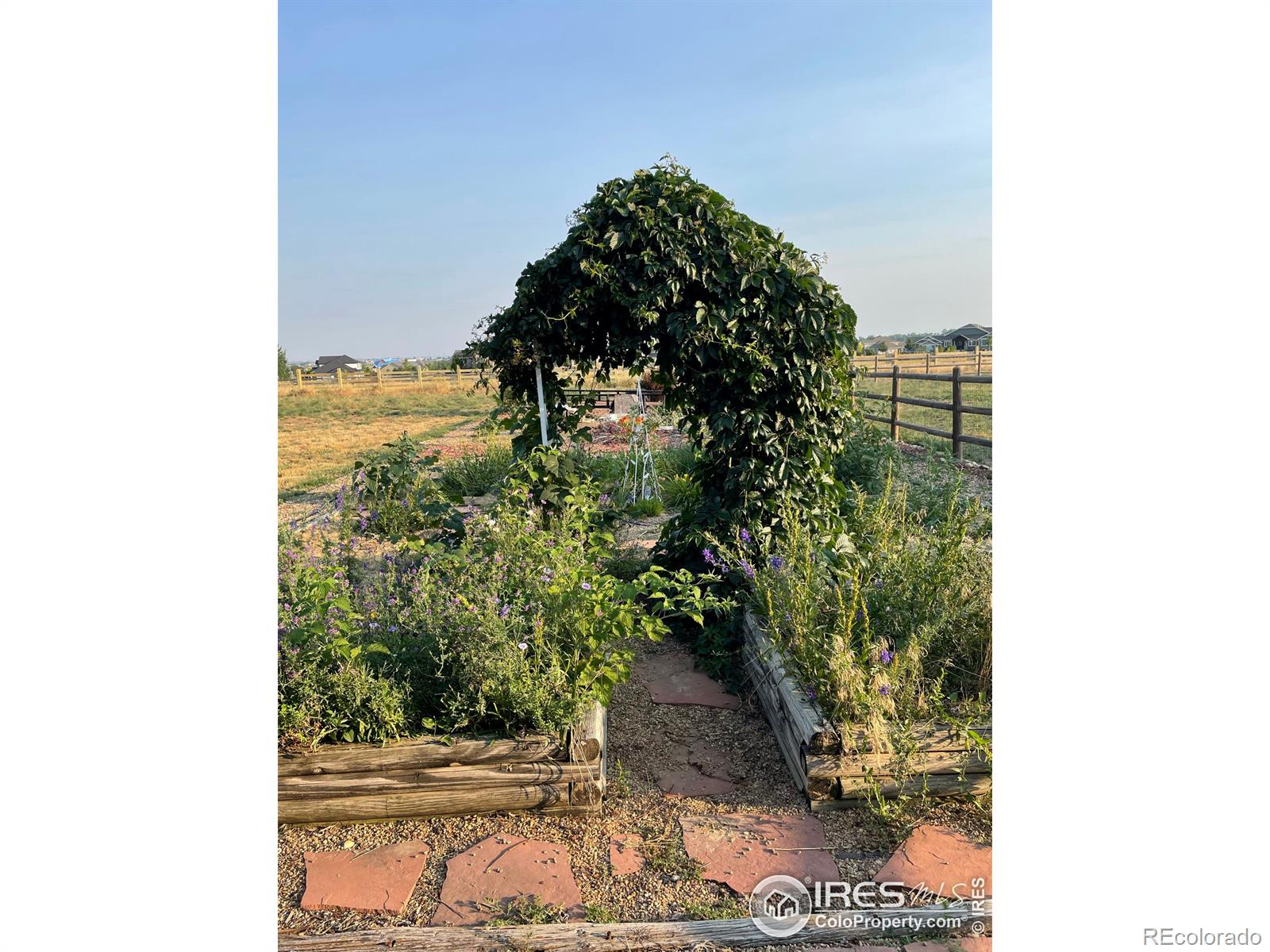 MLS Image #15 for 215  willow drive,mead, Colorado