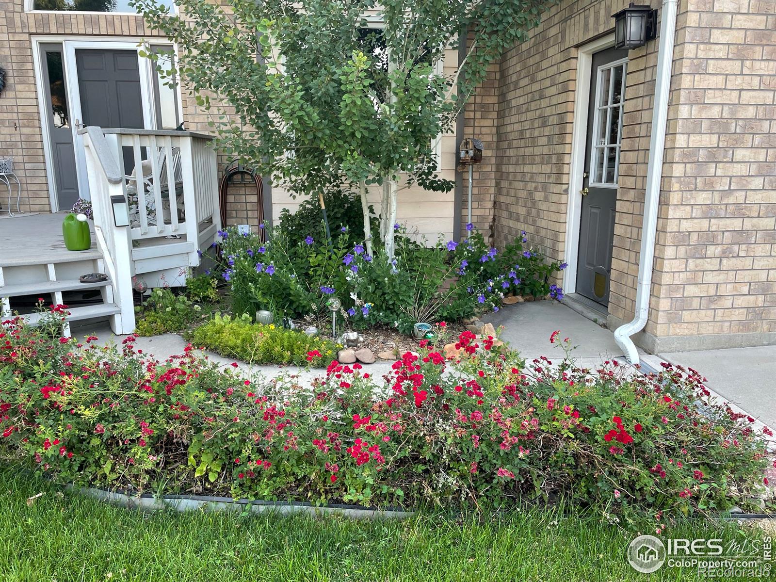 MLS Image #2 for 215  willow drive,mead, Colorado