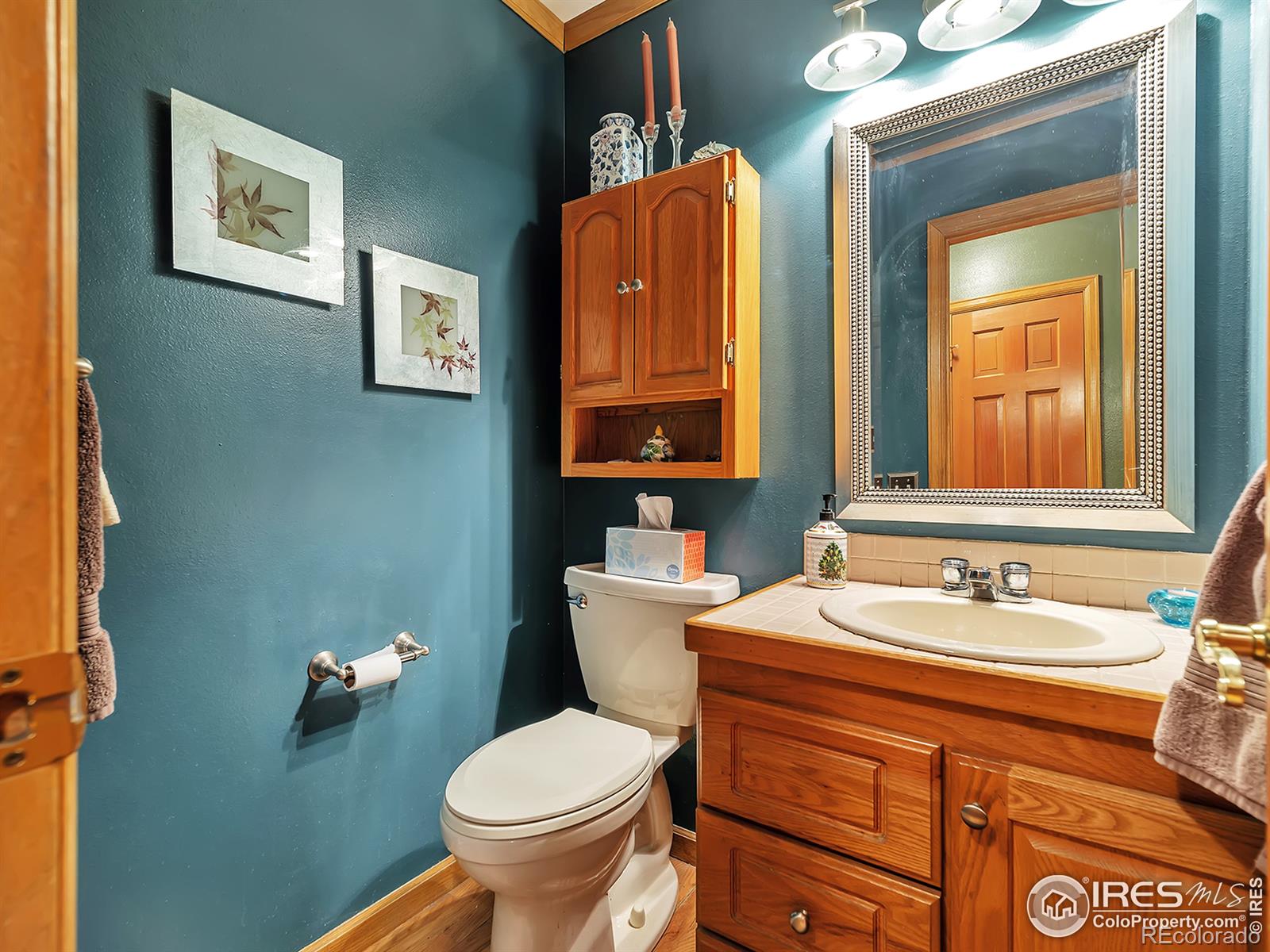 MLS Image #24 for 215  willow drive,mead, Colorado