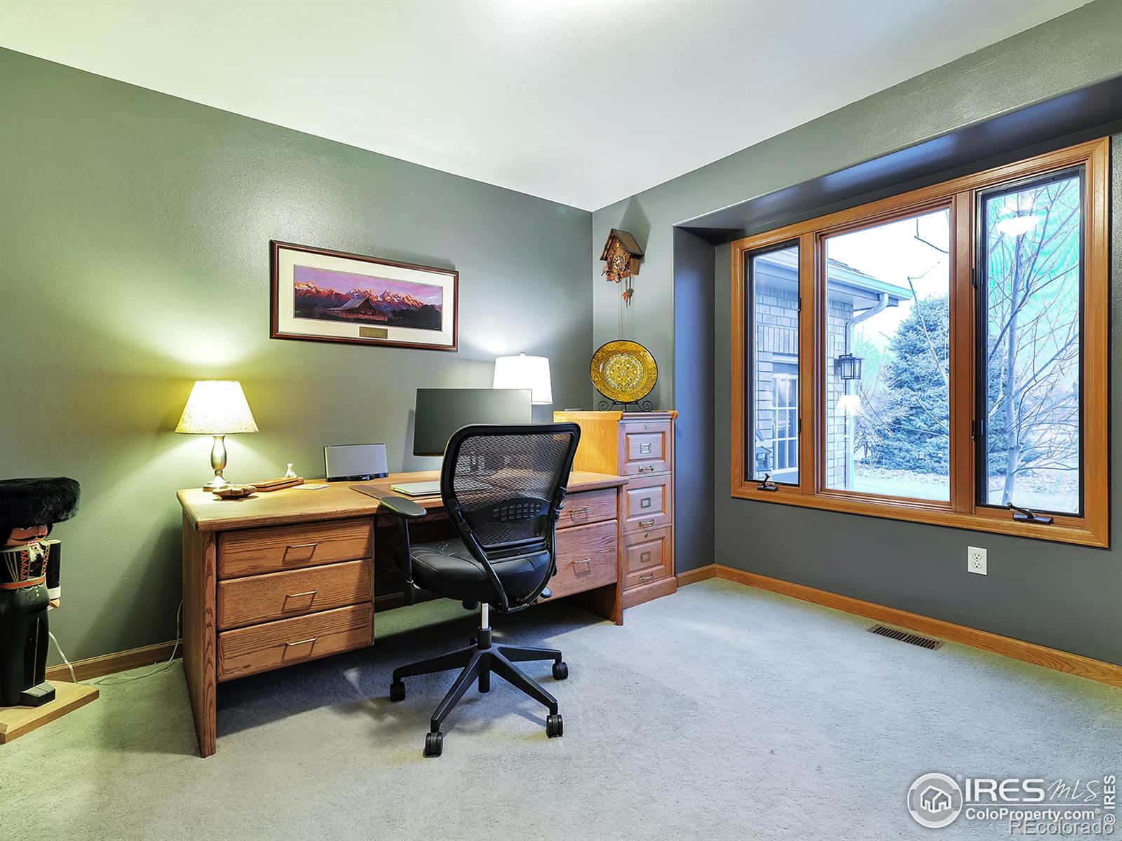 MLS Image #25 for 215  willow drive,mead, Colorado