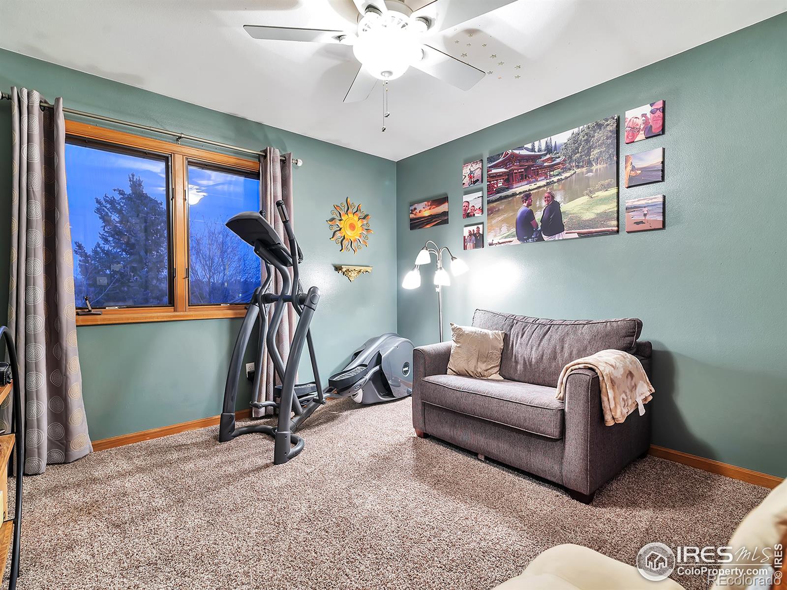 MLS Image #29 for 215  willow drive,mead, Colorado
