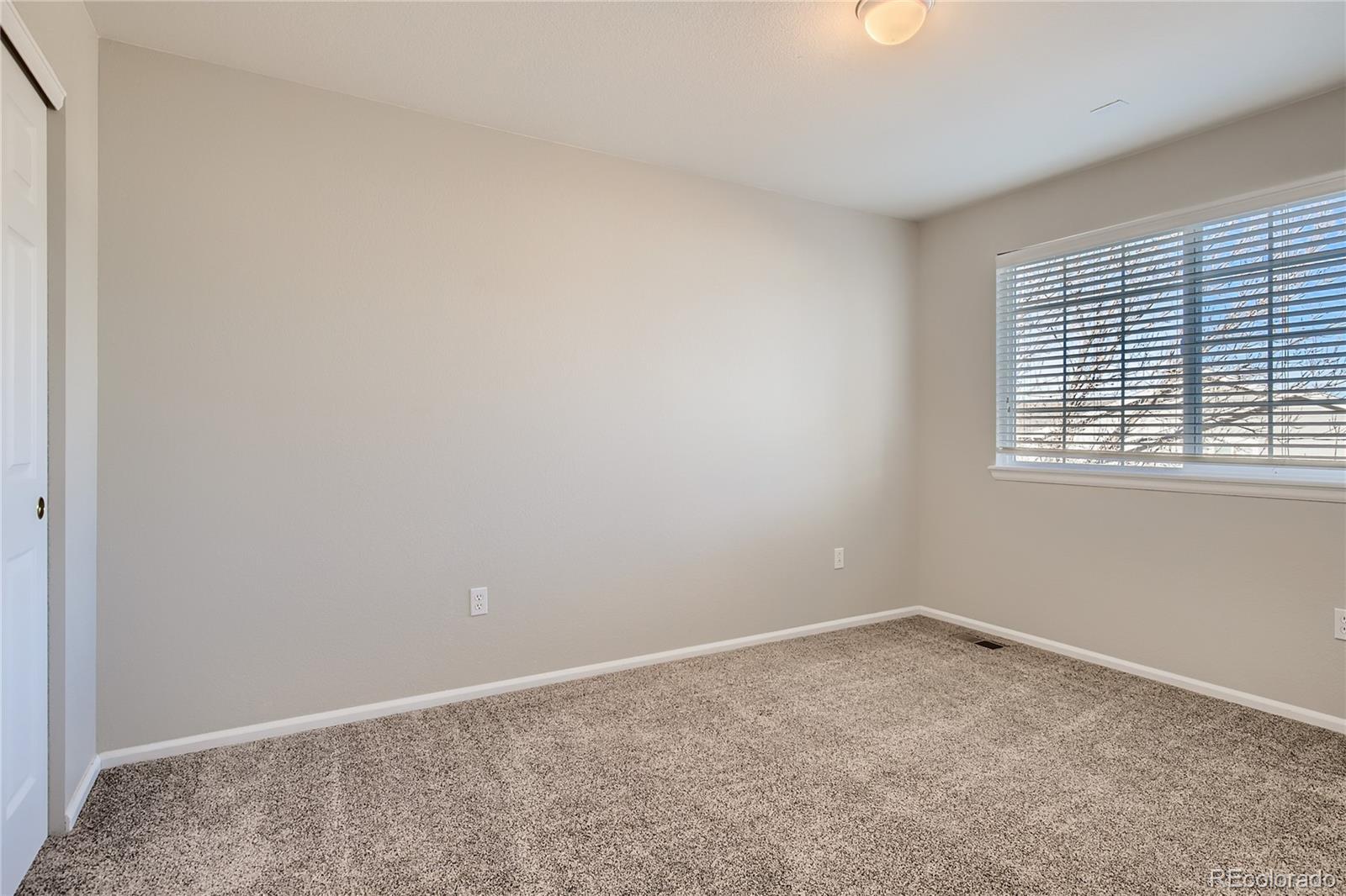 MLS Image #19 for 3120  masters point,castle rock, Colorado