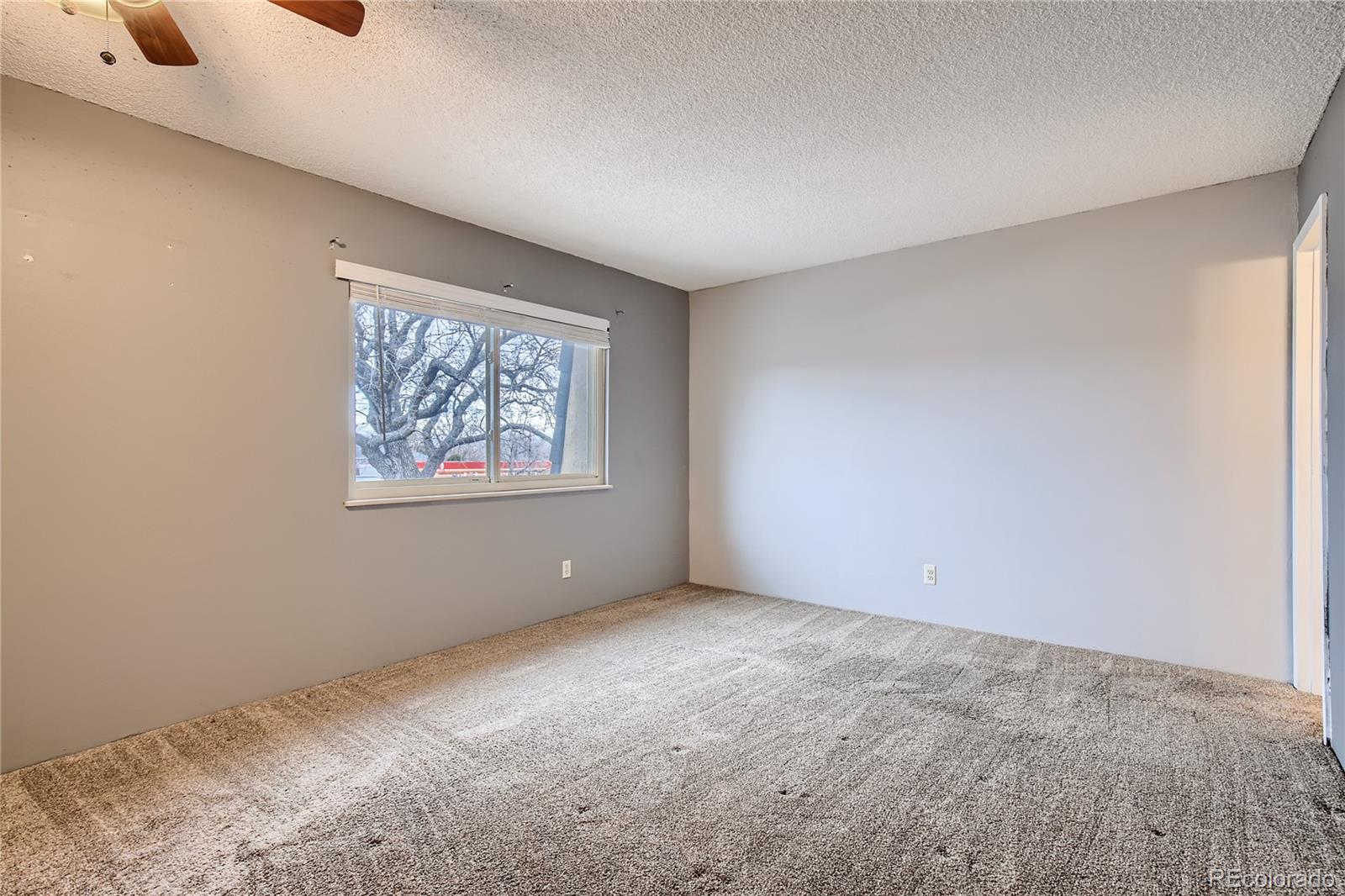 MLS Image #14 for 6838 s broadway ,centennial, Colorado