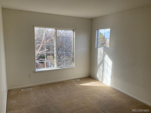 MLS Image #14 for 14400  albrook drive,denver, Colorado