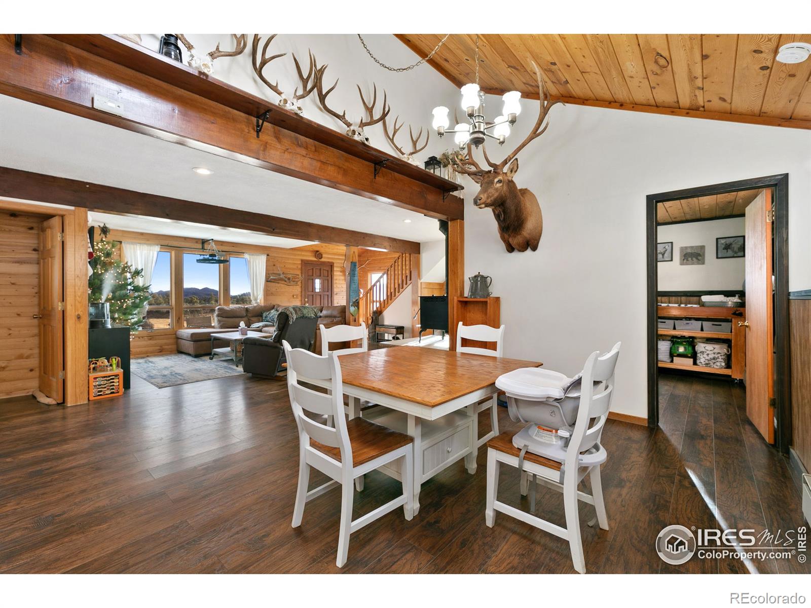 MLS Image #10 for 511  green mountain drive,livermore, Colorado