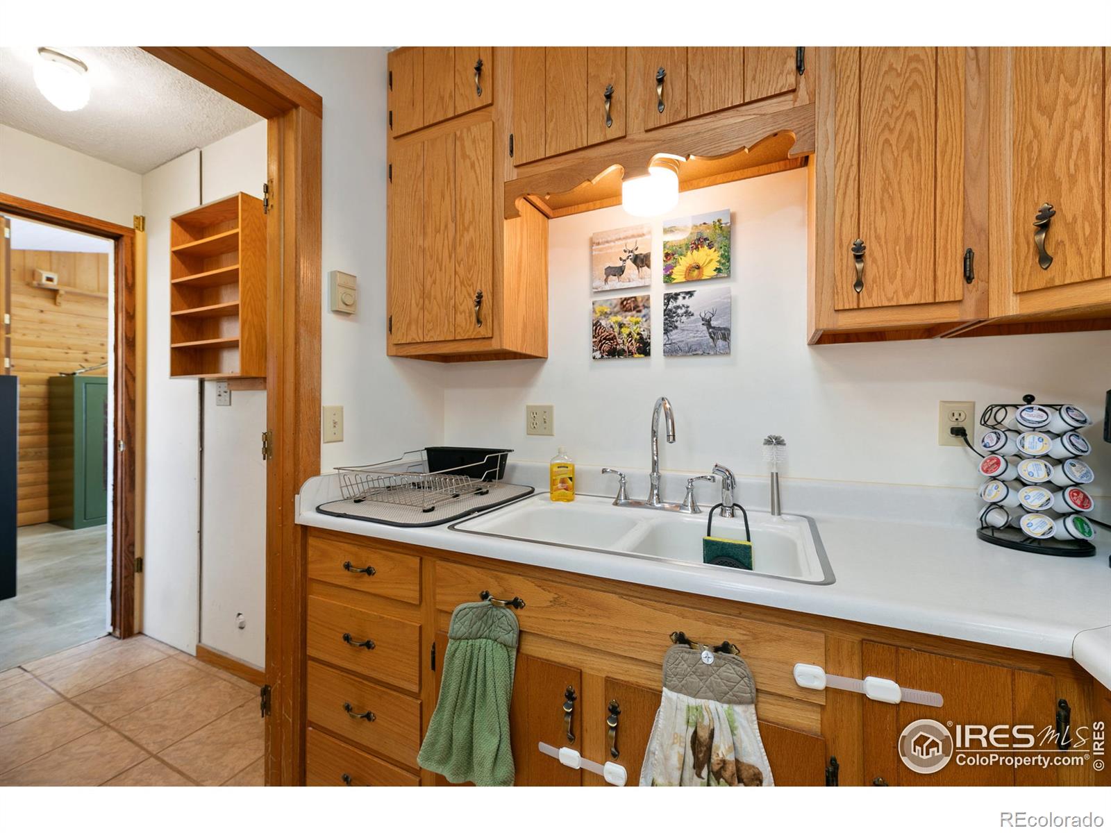 MLS Image #13 for 511  green mountain drive,livermore, Colorado