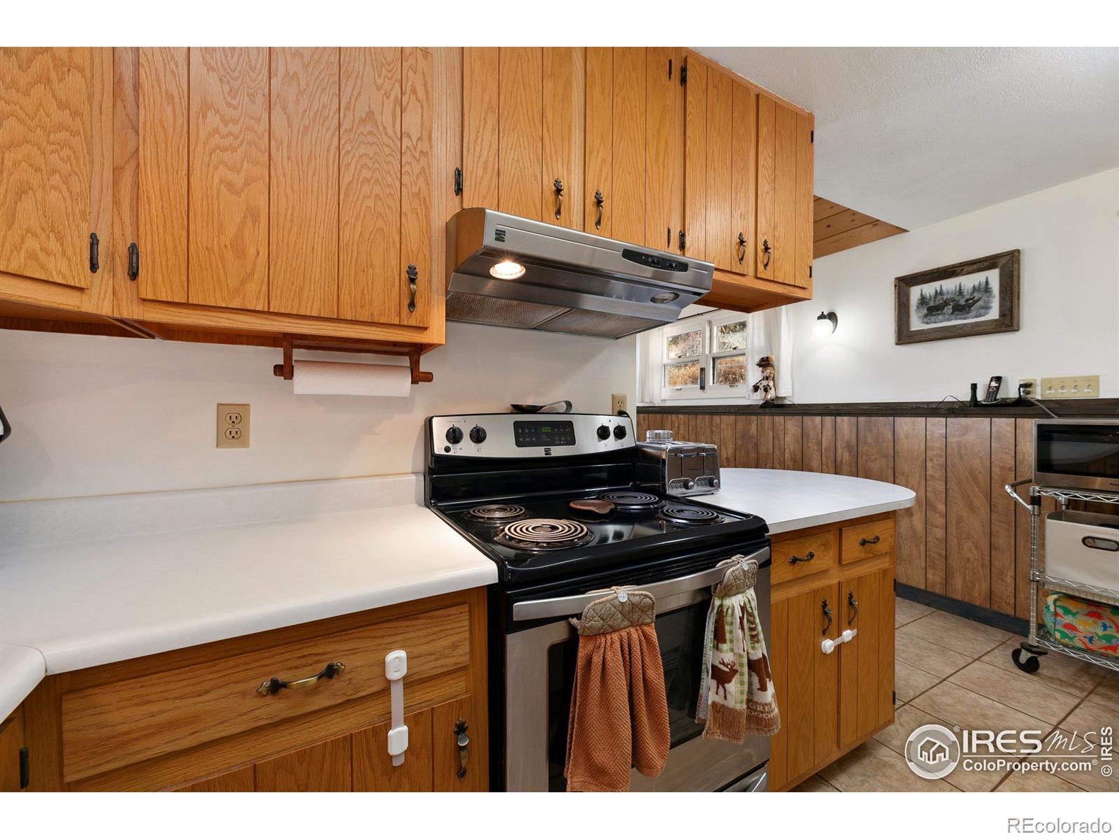 MLS Image #14 for 511  green mountain drive,livermore, Colorado