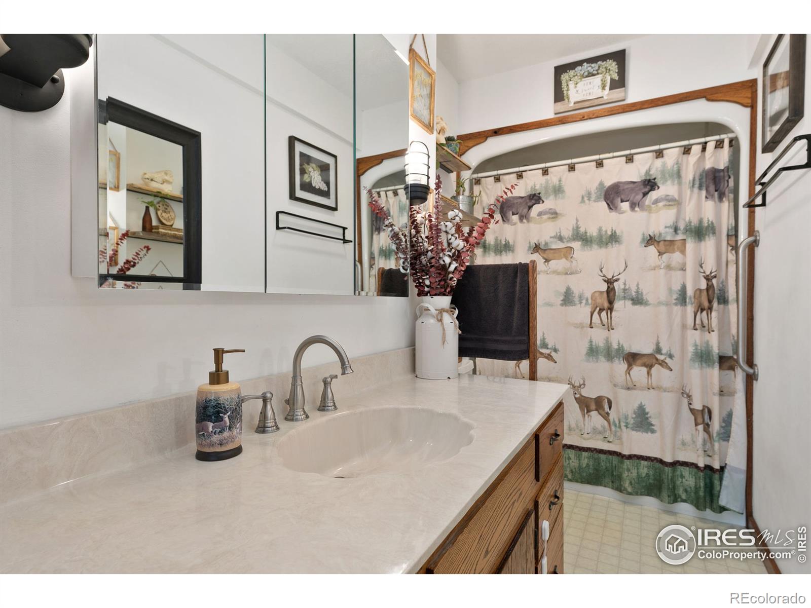 MLS Image #21 for 511  green mountain drive,livermore, Colorado