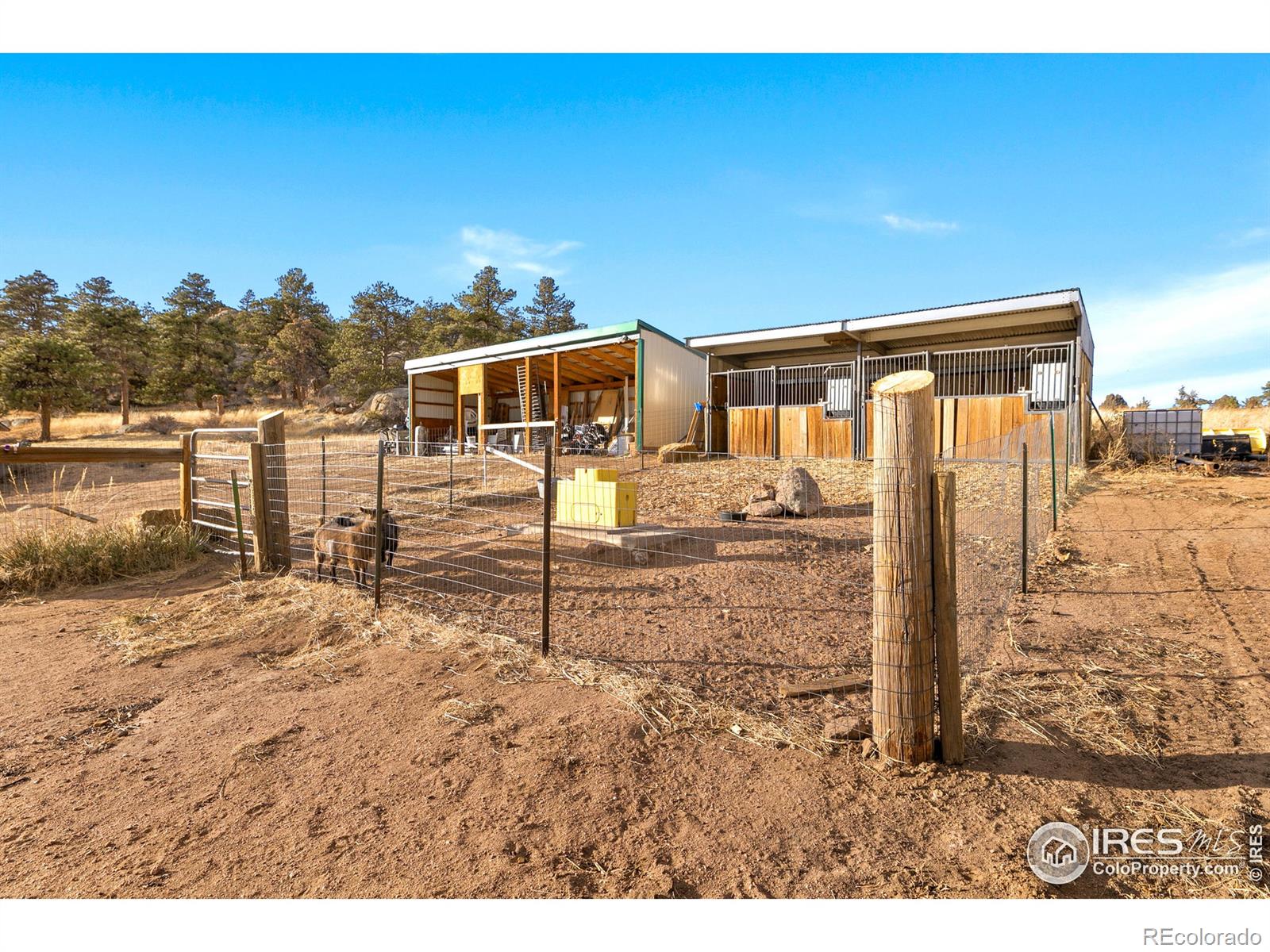 MLS Image #29 for 511  green mountain drive,livermore, Colorado
