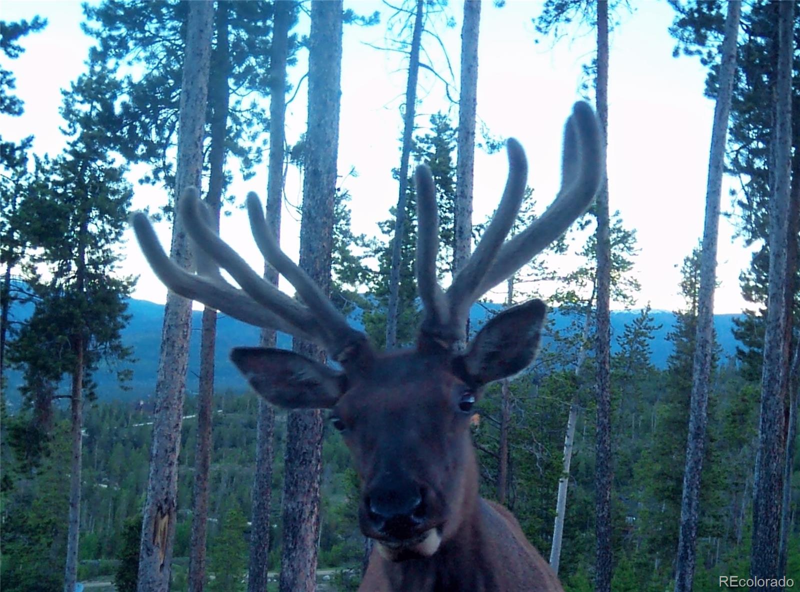MLS Image #31 for 345  gcr 6421 ,grand lake, Colorado