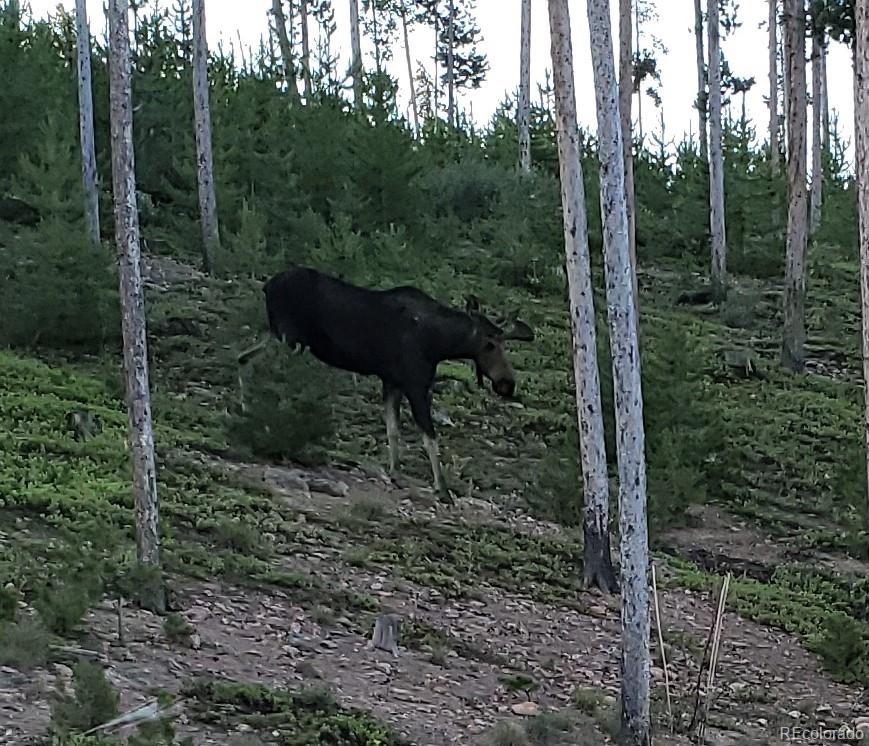 MLS Image #33 for 345  gcr 6421 ,grand lake, Colorado