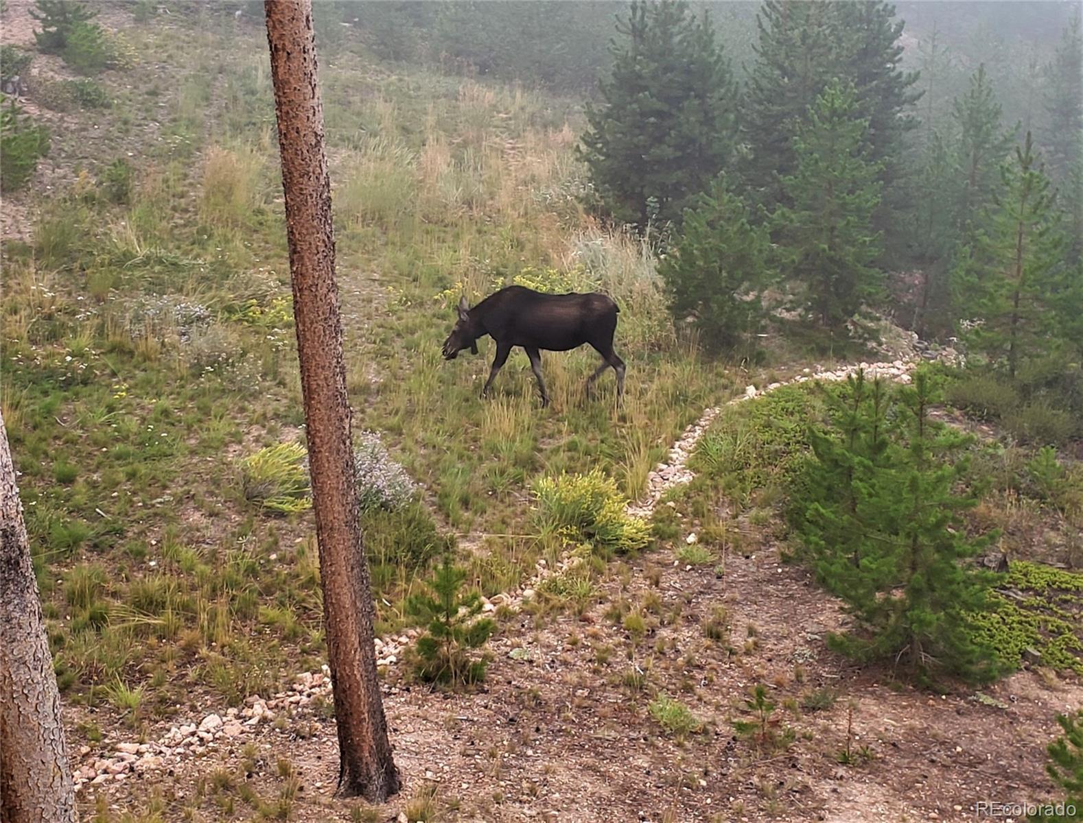 MLS Image #35 for 345  gcr 6421 ,grand lake, Colorado