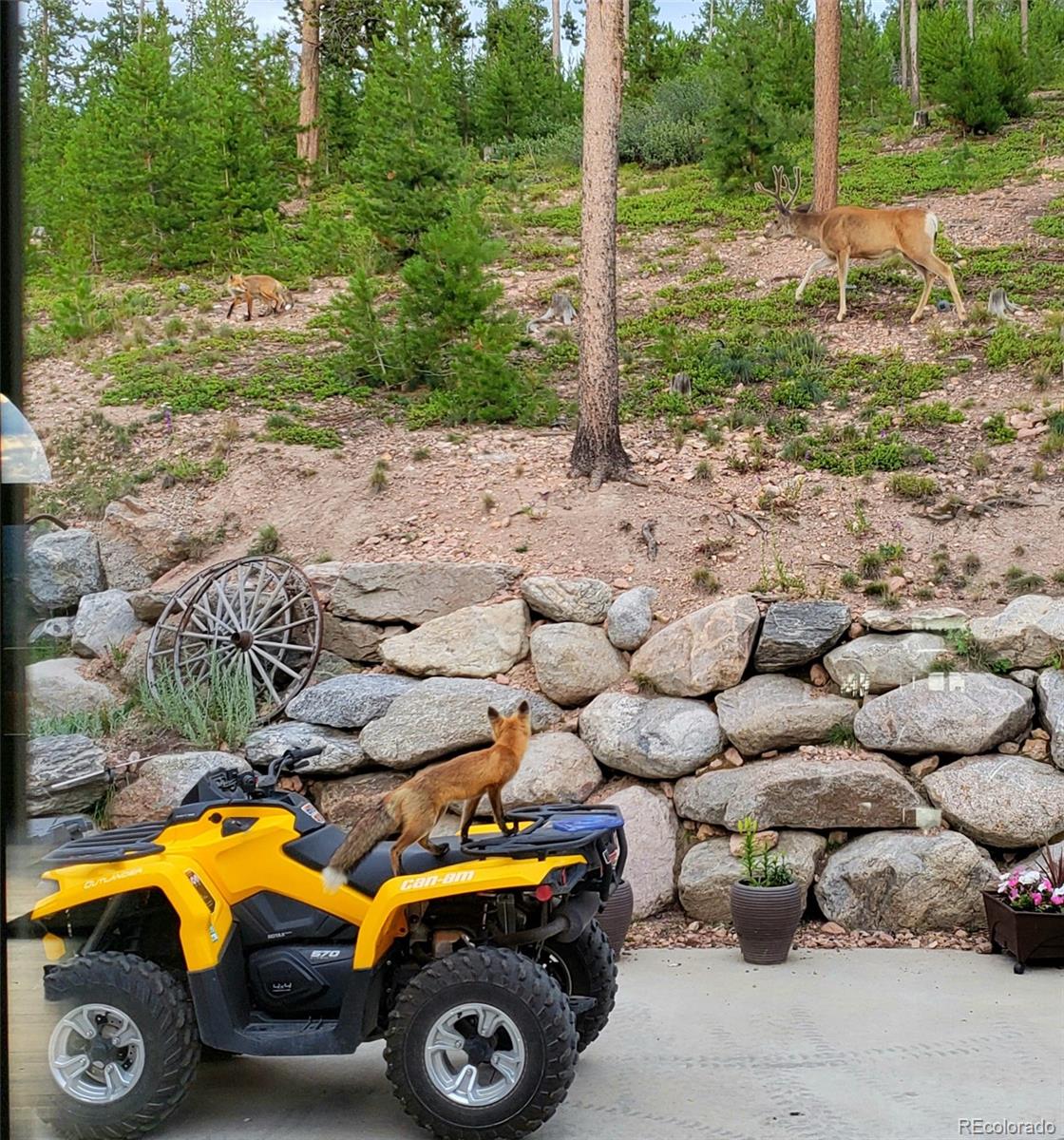 MLS Image #4 for 345  gcr 6421 ,grand lake, Colorado