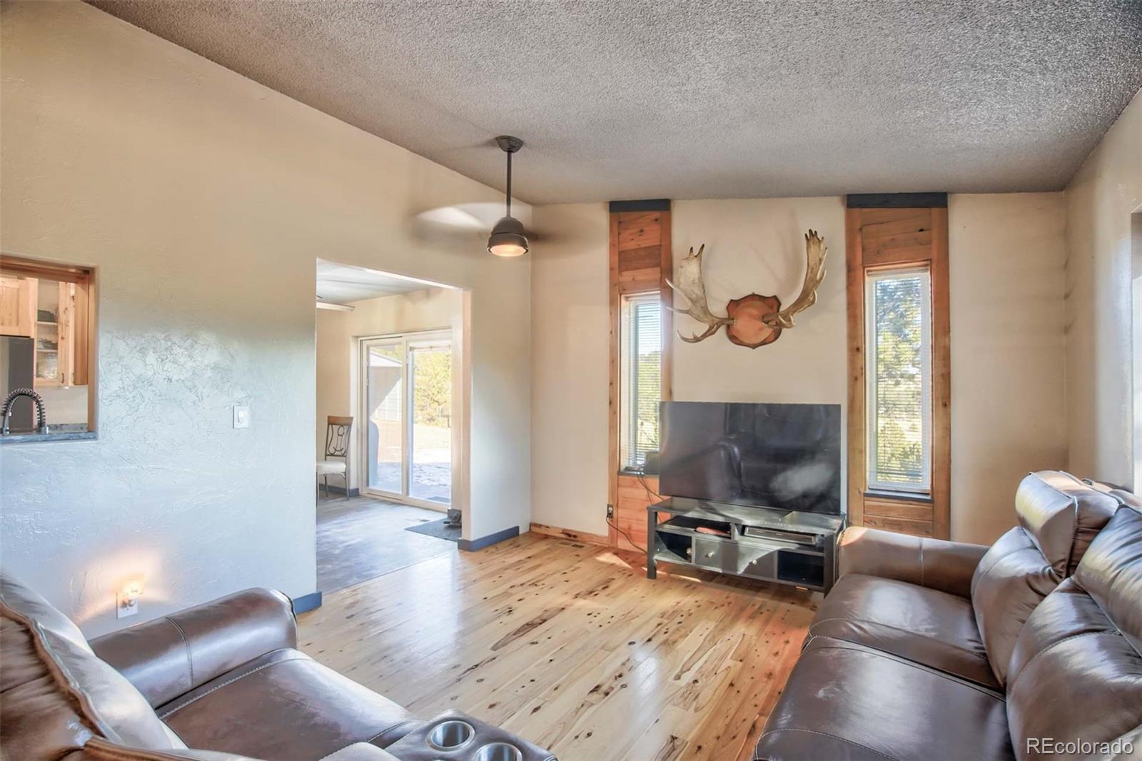 MLS Image #6 for 309  county road 122 ,guffey, Colorado