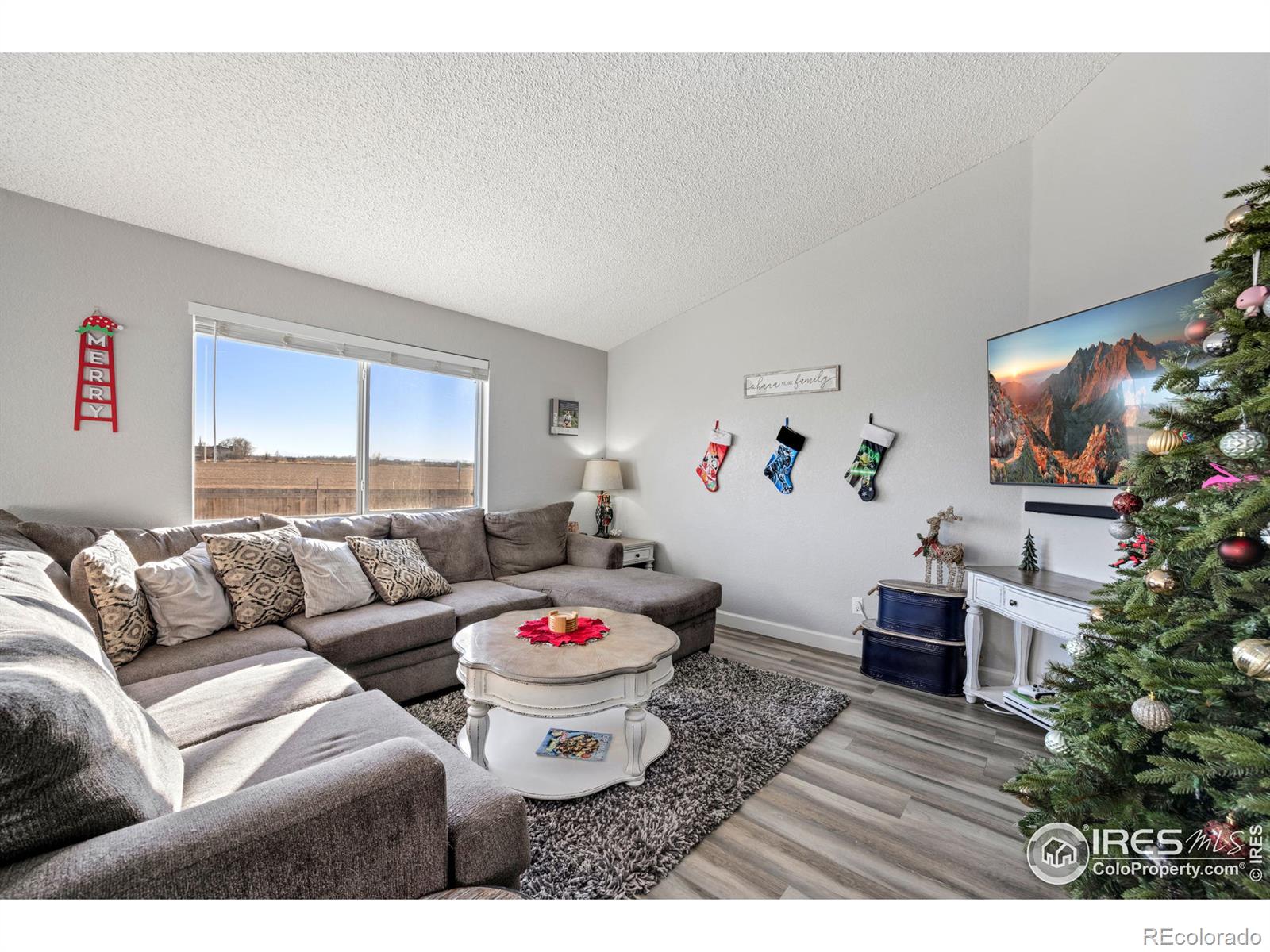 MLS Image #13 for 2580  cherry circle,brighton, Colorado