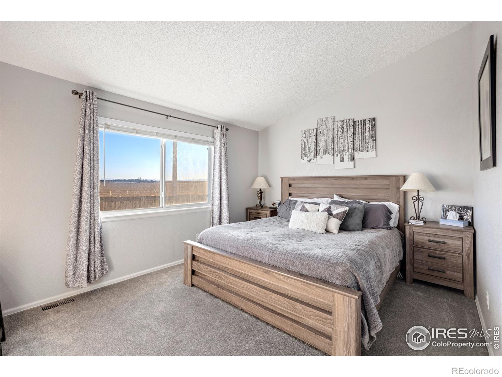 MLS Image #21 for 2580  cherry circle,brighton, Colorado