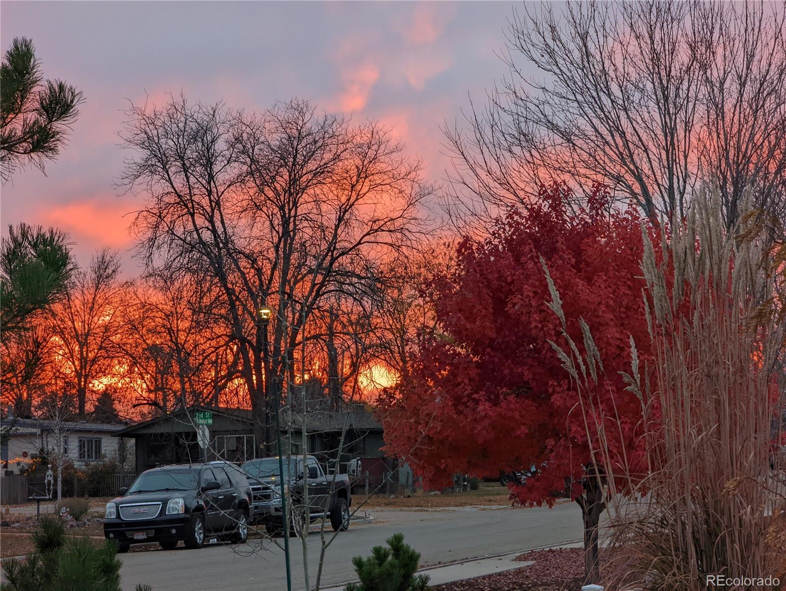MLS Image #18 for 201  1st street,mead, Colorado
