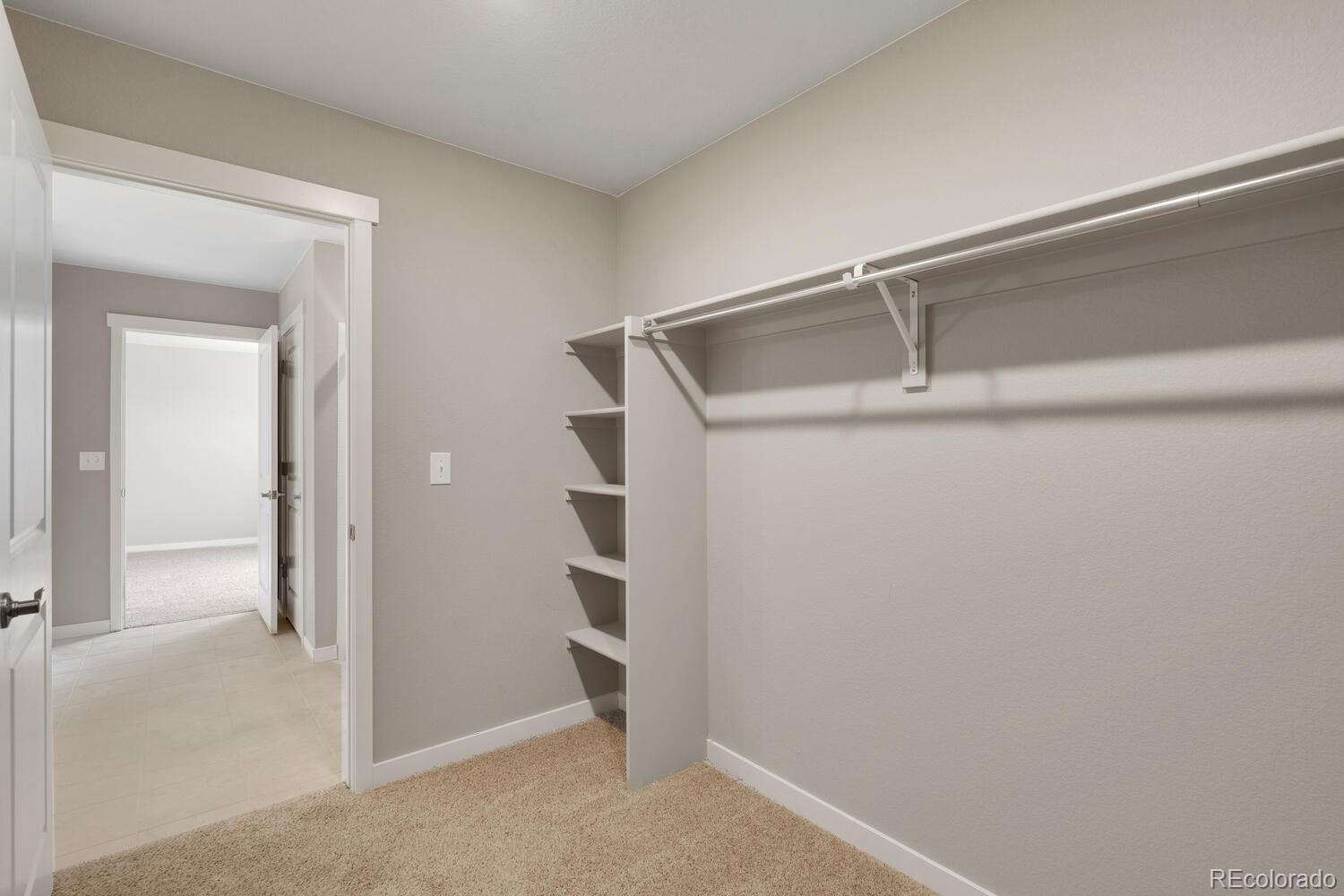 MLS Image #27 for 4503  kingswood drive,windsor, Colorado