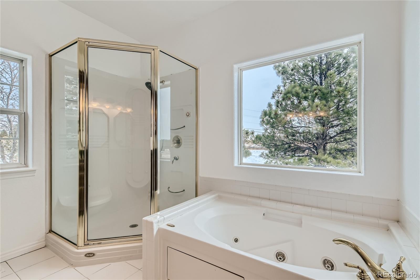 MLS Image #15 for 897 e rim road,franktown, Colorado