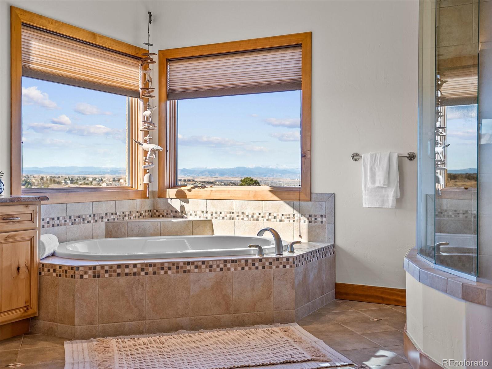 MLS Image #21 for 10331  rancho montecito drive,parker, Colorado