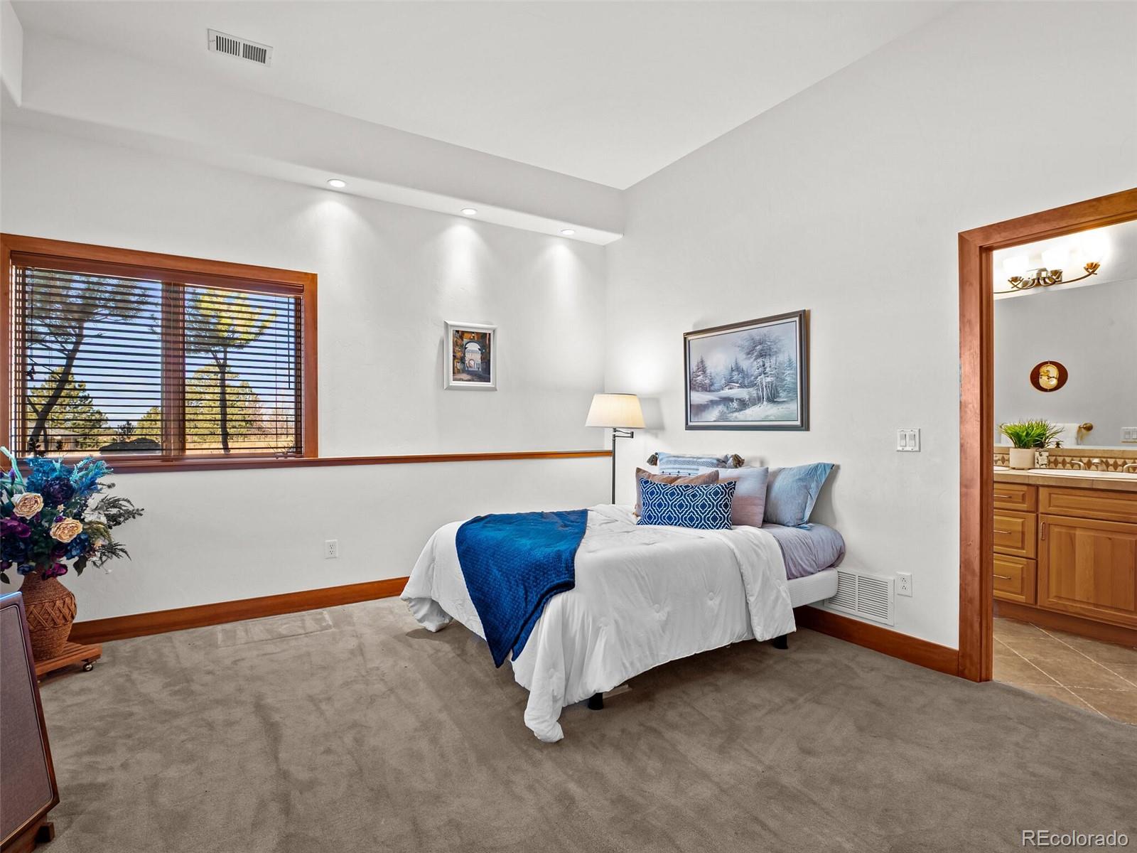MLS Image #28 for 10331  rancho montecito drive,parker, Colorado