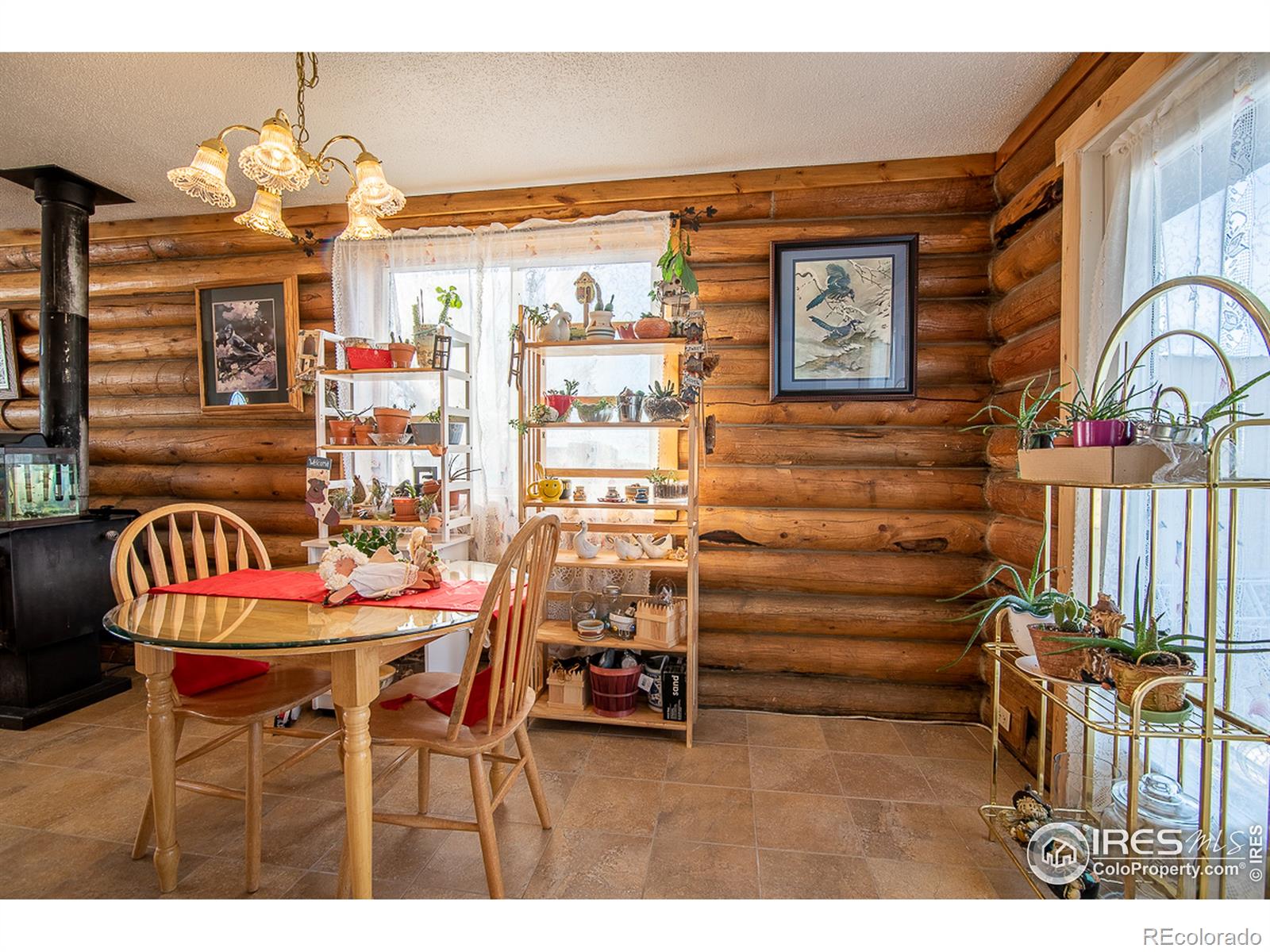 MLS Image #12 for 61473  4th street,carr, Colorado