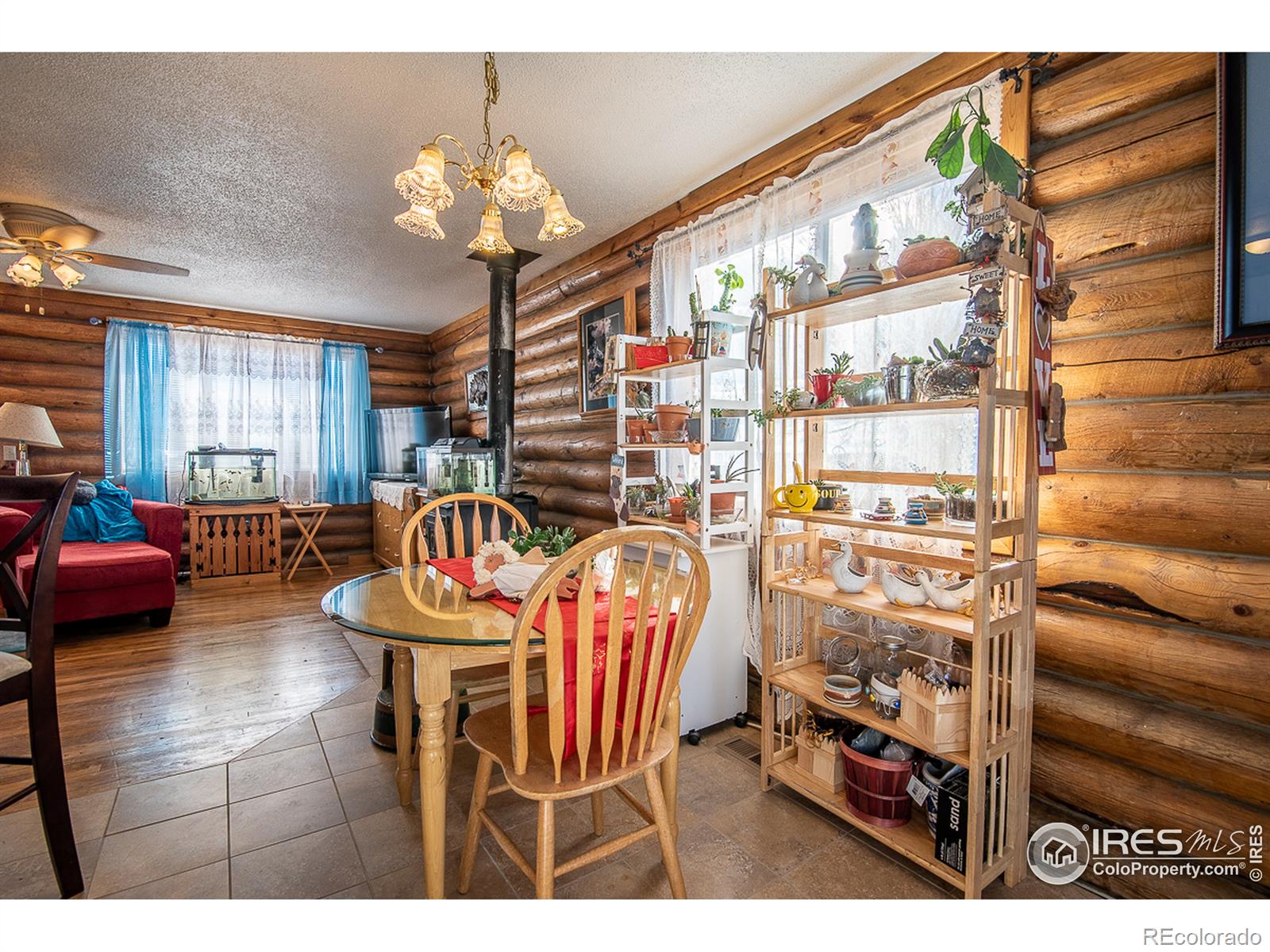 MLS Image #13 for 61473  4th street,carr, Colorado