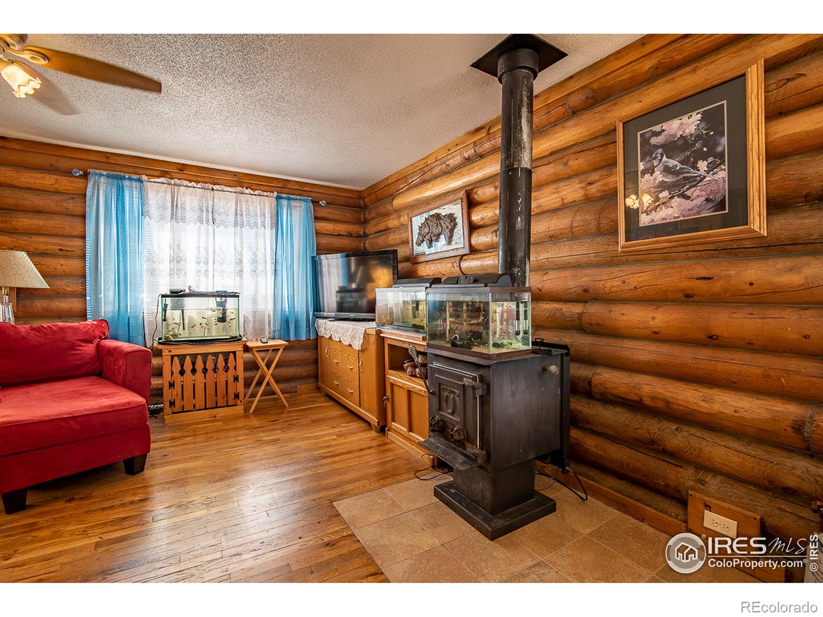 MLS Image #15 for 61473  4th street,carr, Colorado