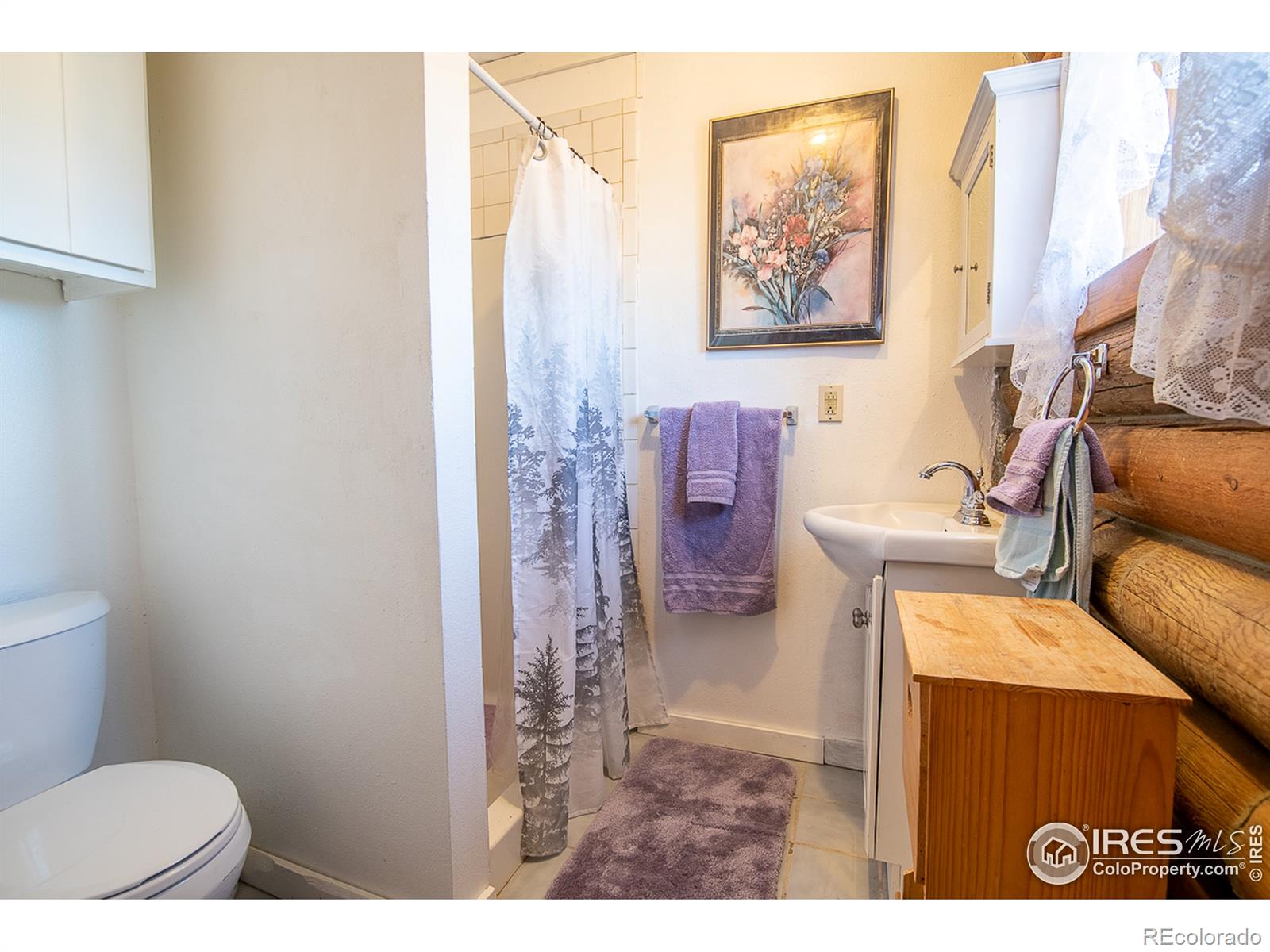 MLS Image #19 for 61473  4th street,carr, Colorado