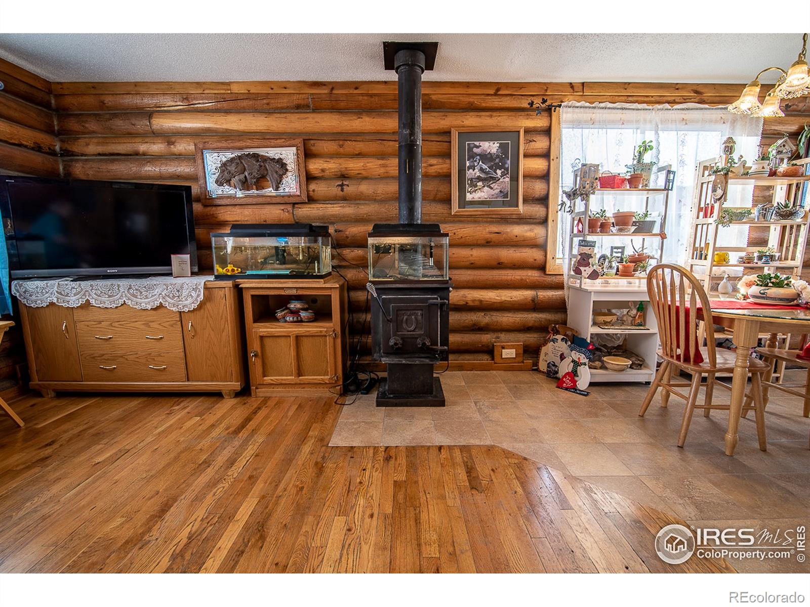 MLS Image #9 for 61473  4th street,carr, Colorado