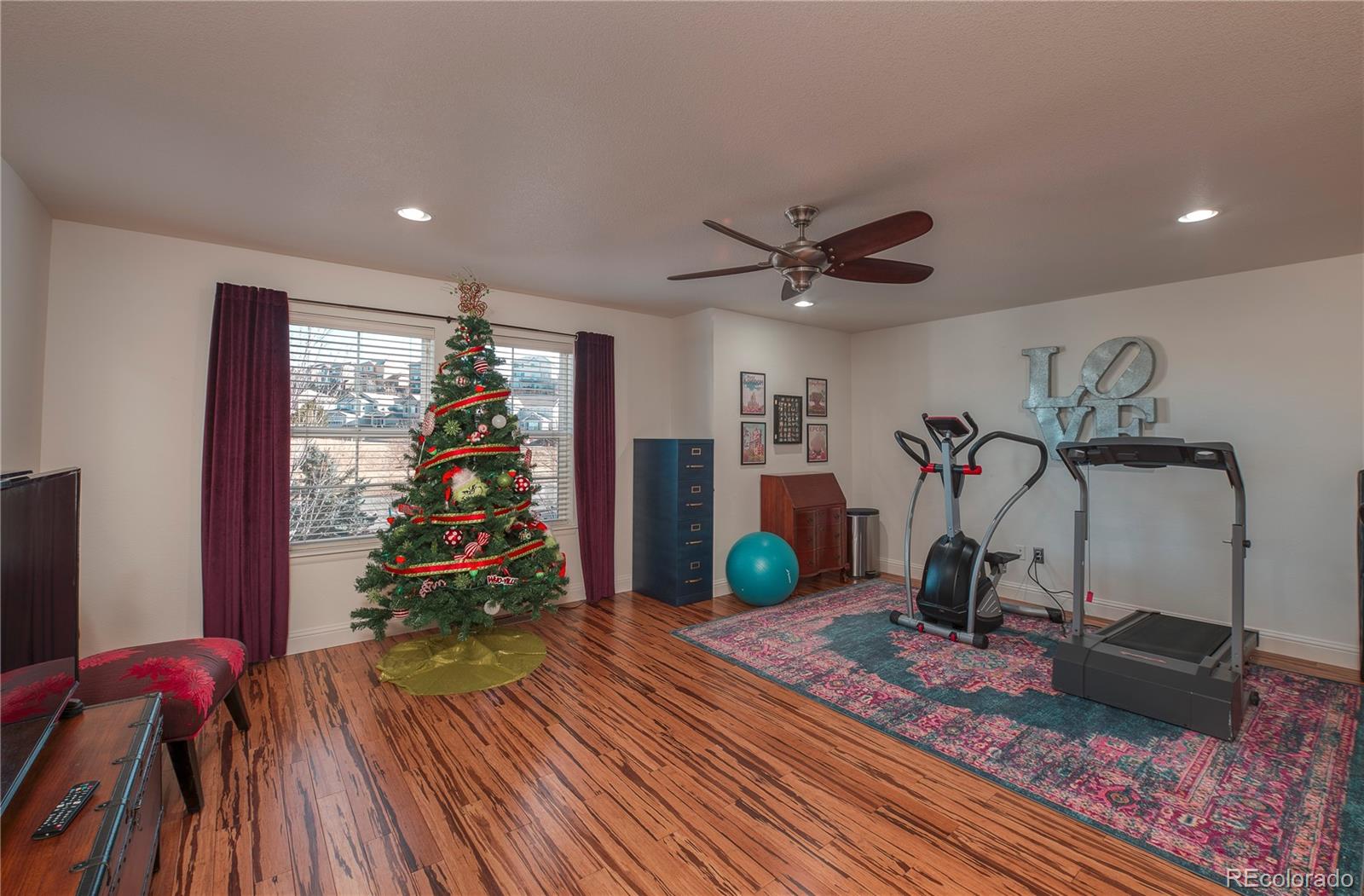 MLS Image #13 for 2482  cactus bloom court,castle rock, Colorado